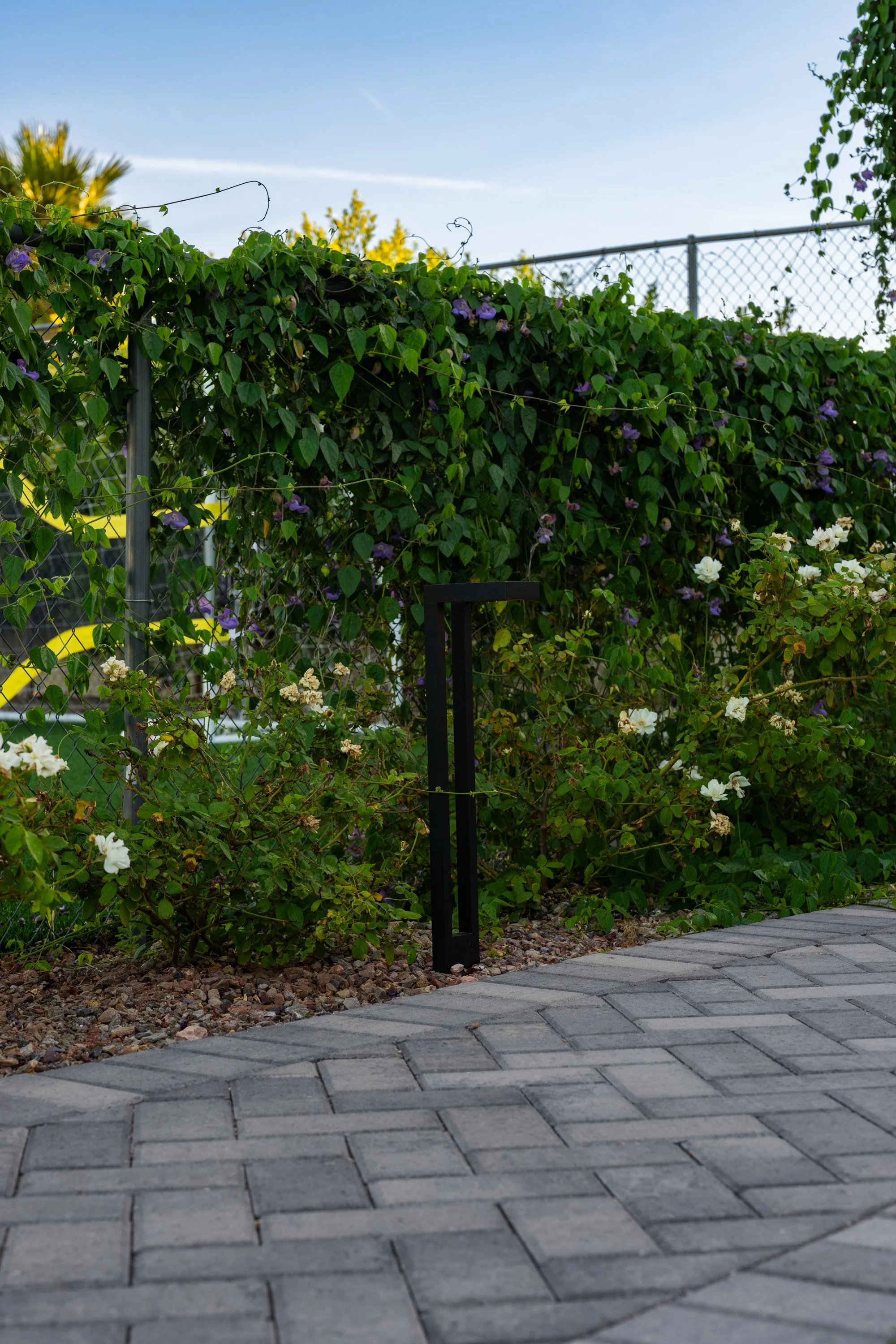 shearon-design-robson-may-2026-dsc01263-google.jpg