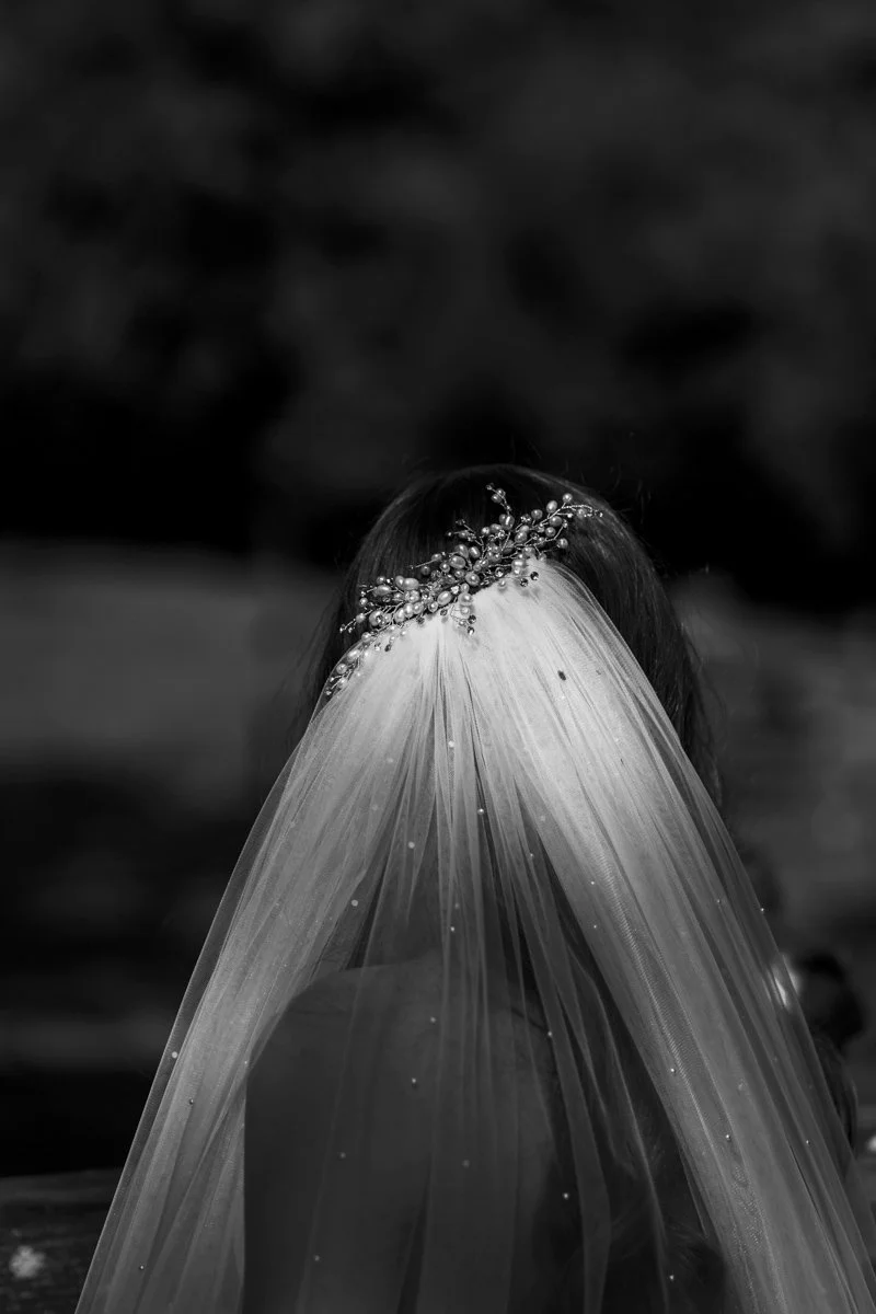 Tree Top Escape gallery -15.JPG