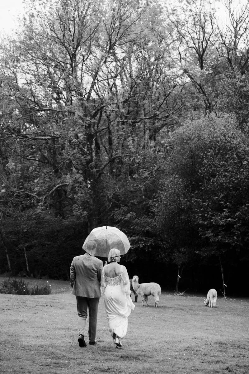 Tree Top Escape gallery -7.JPG