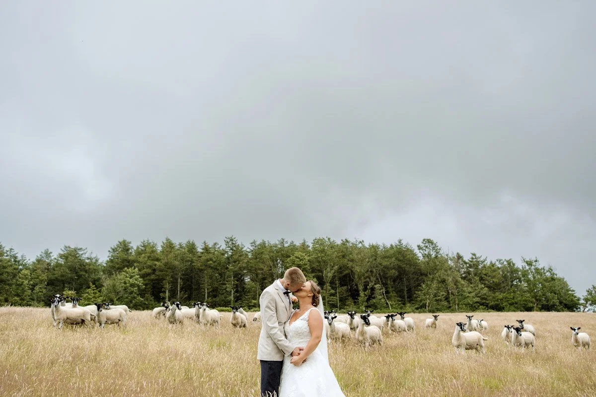 wedding photographer north devon -19.JPG