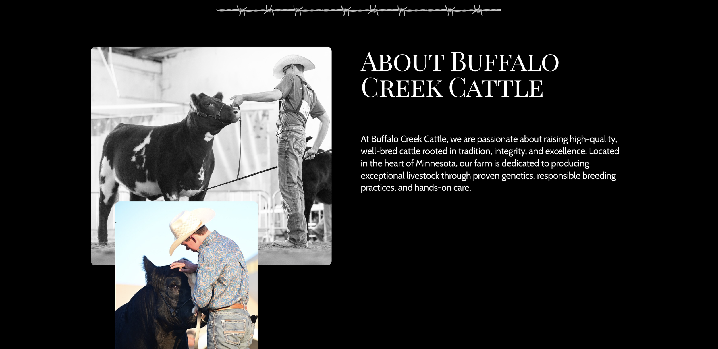 Screenshot 2024-12-29 at 1.54.02 PM.png