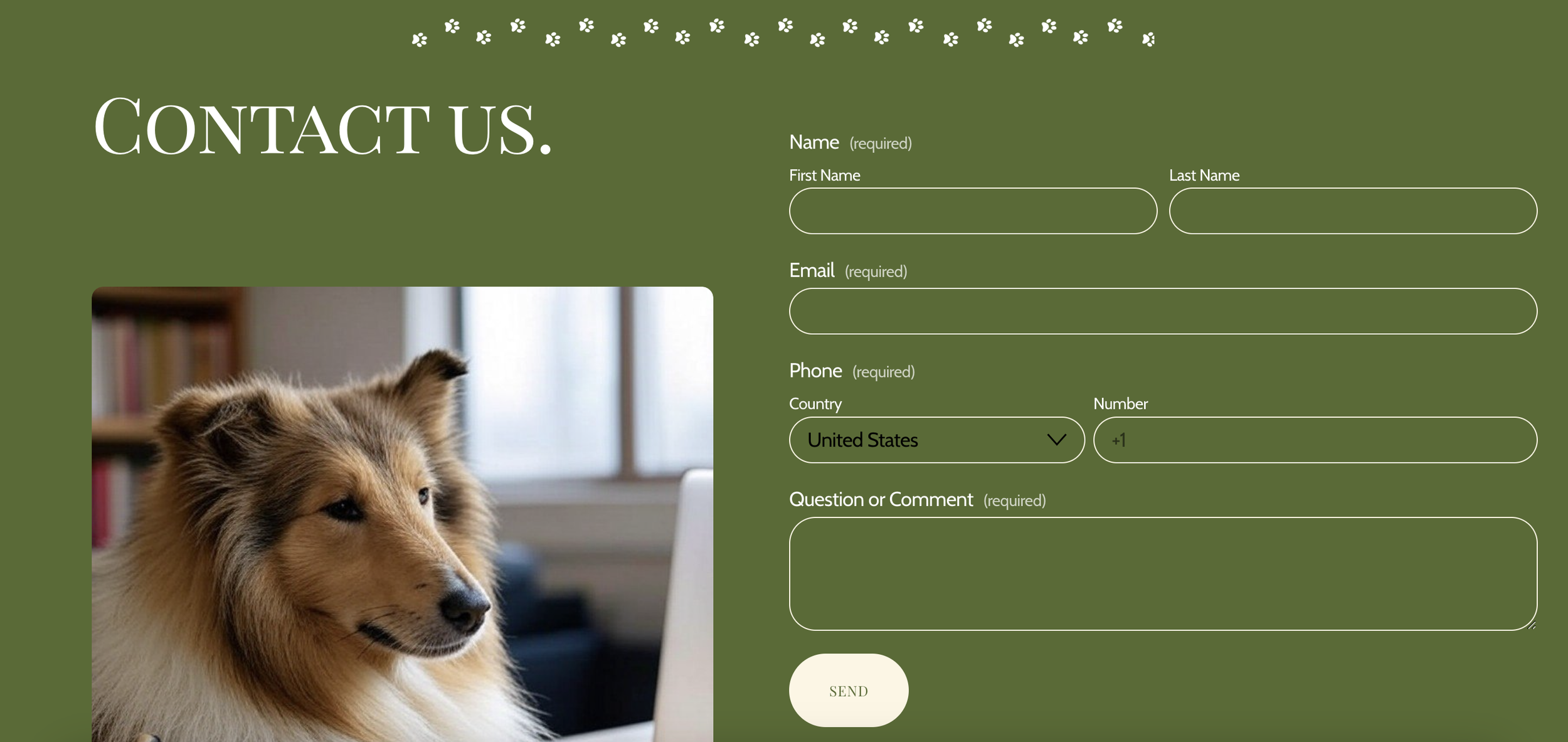 Screenshot 2024-12-29 at 1.53.42 PM.png