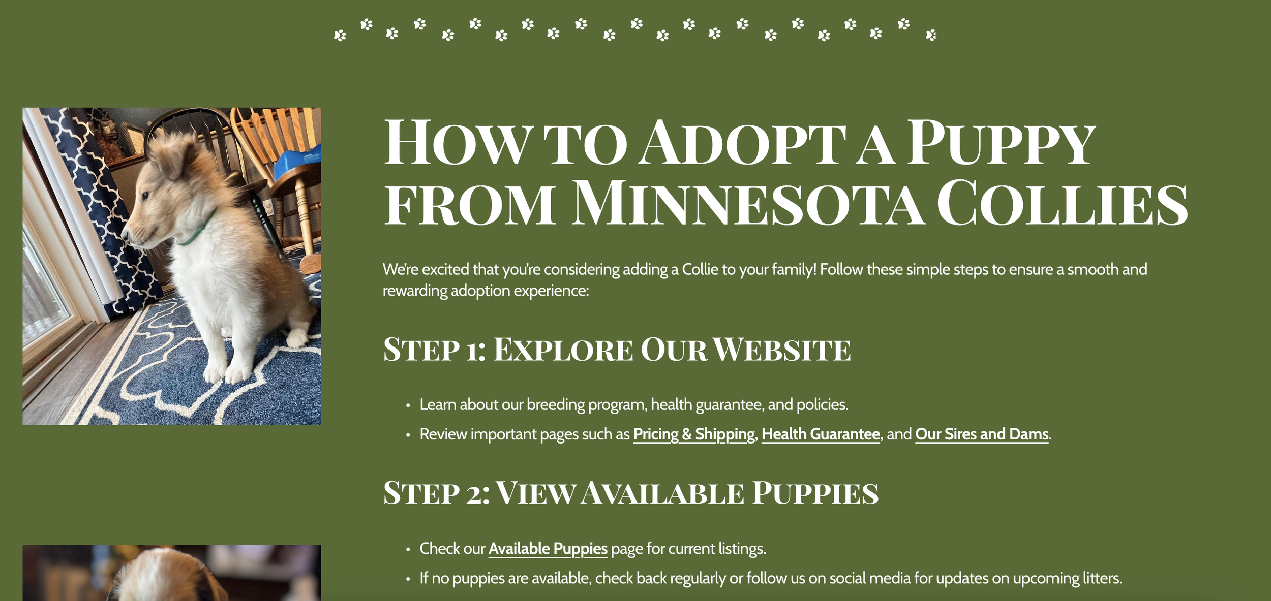 Screenshot 2024-12-29 at 1.52.26 PM.png