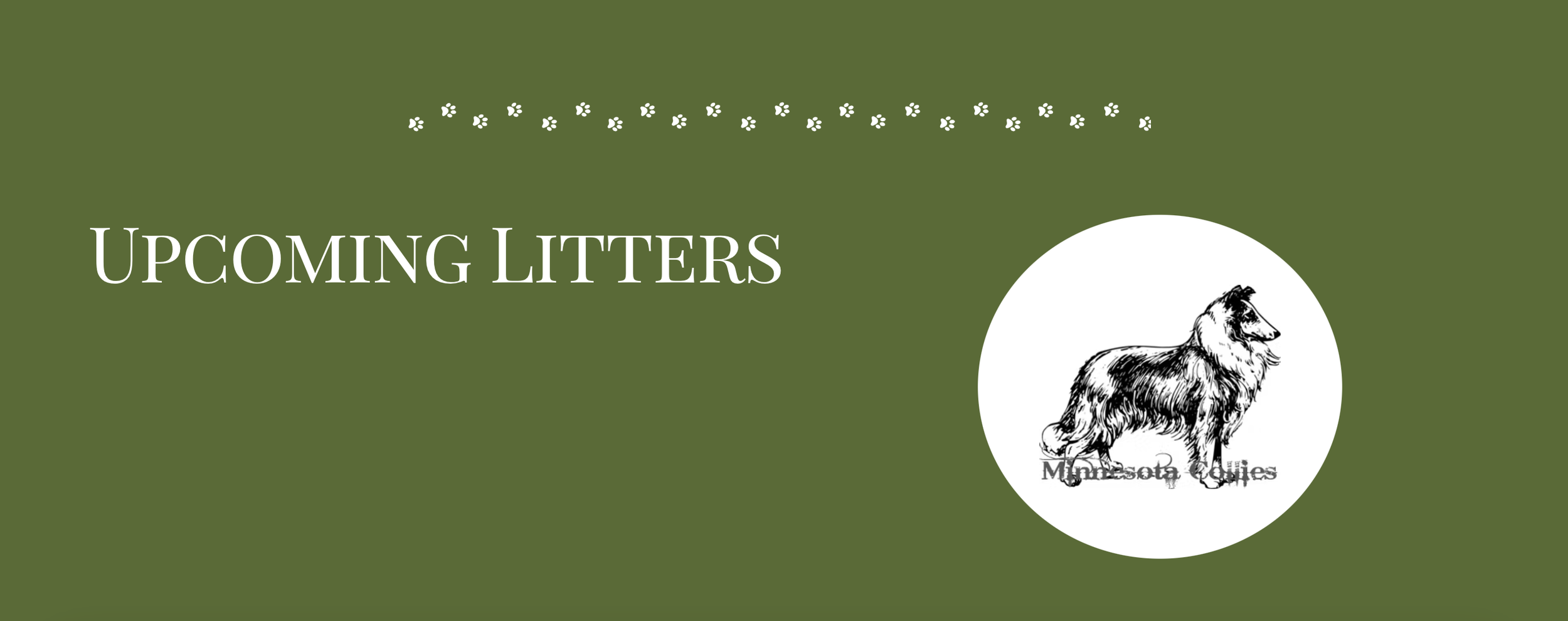 Screenshot 2024-12-29 at 1.51.41 PM.png