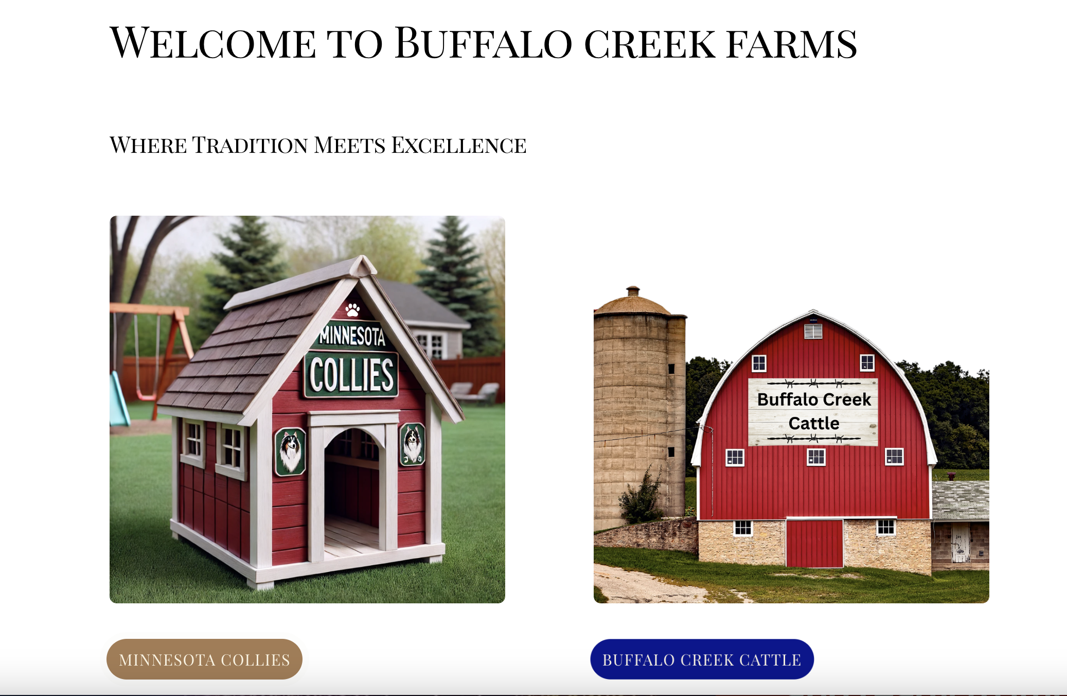 BCF Homepage.png