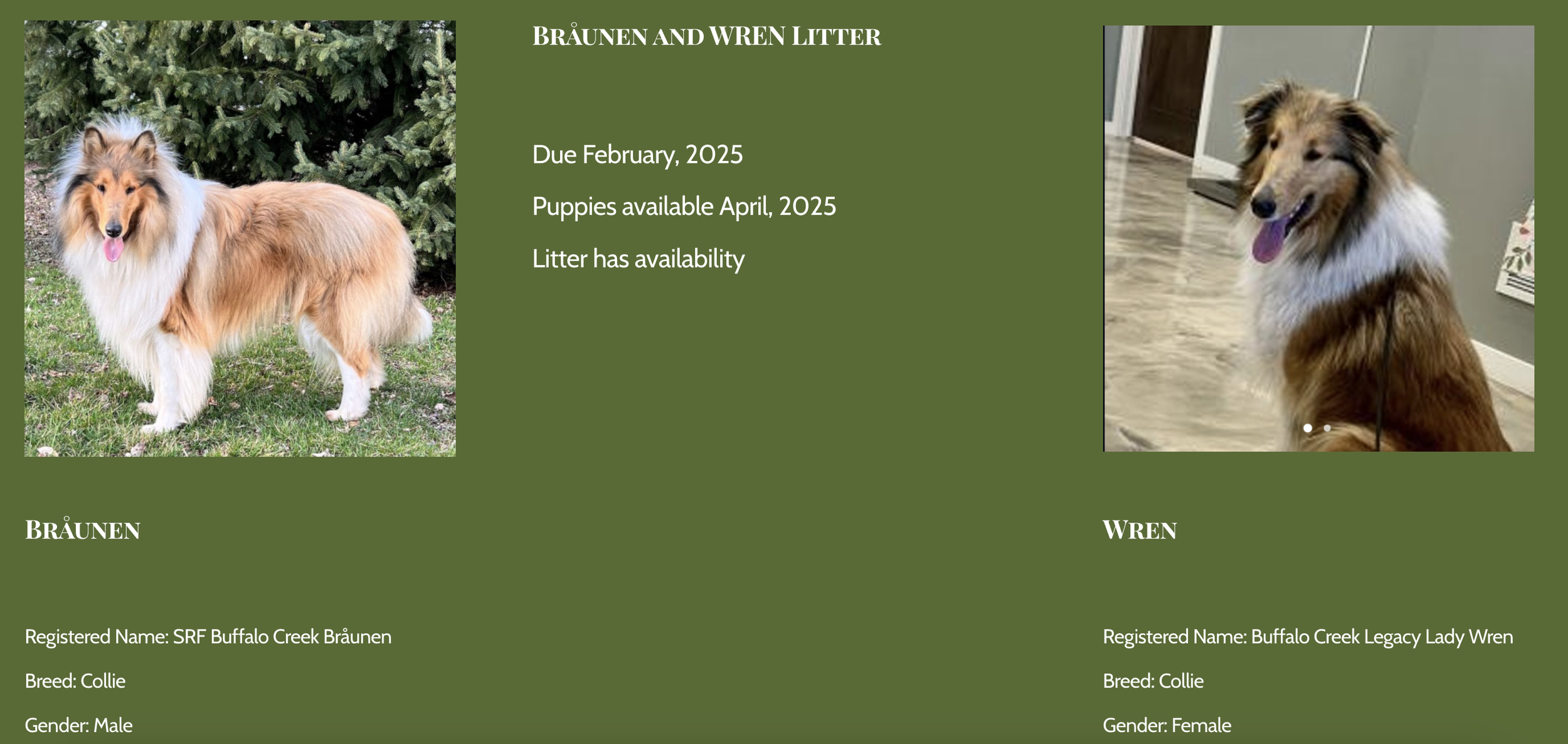 Screenshot 2024-12-29 at 1.51.51 PM.png