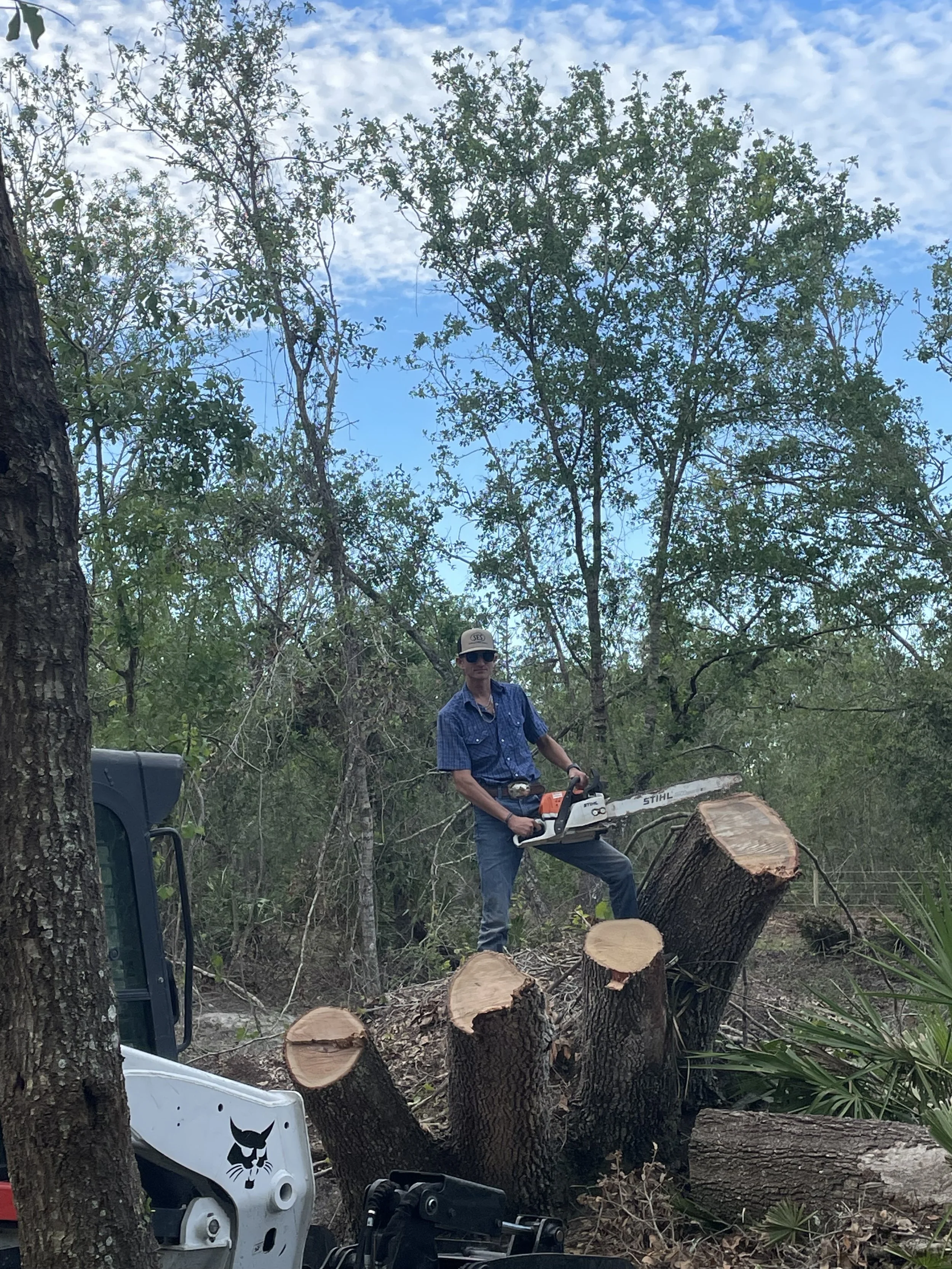 Tree Work South Florida