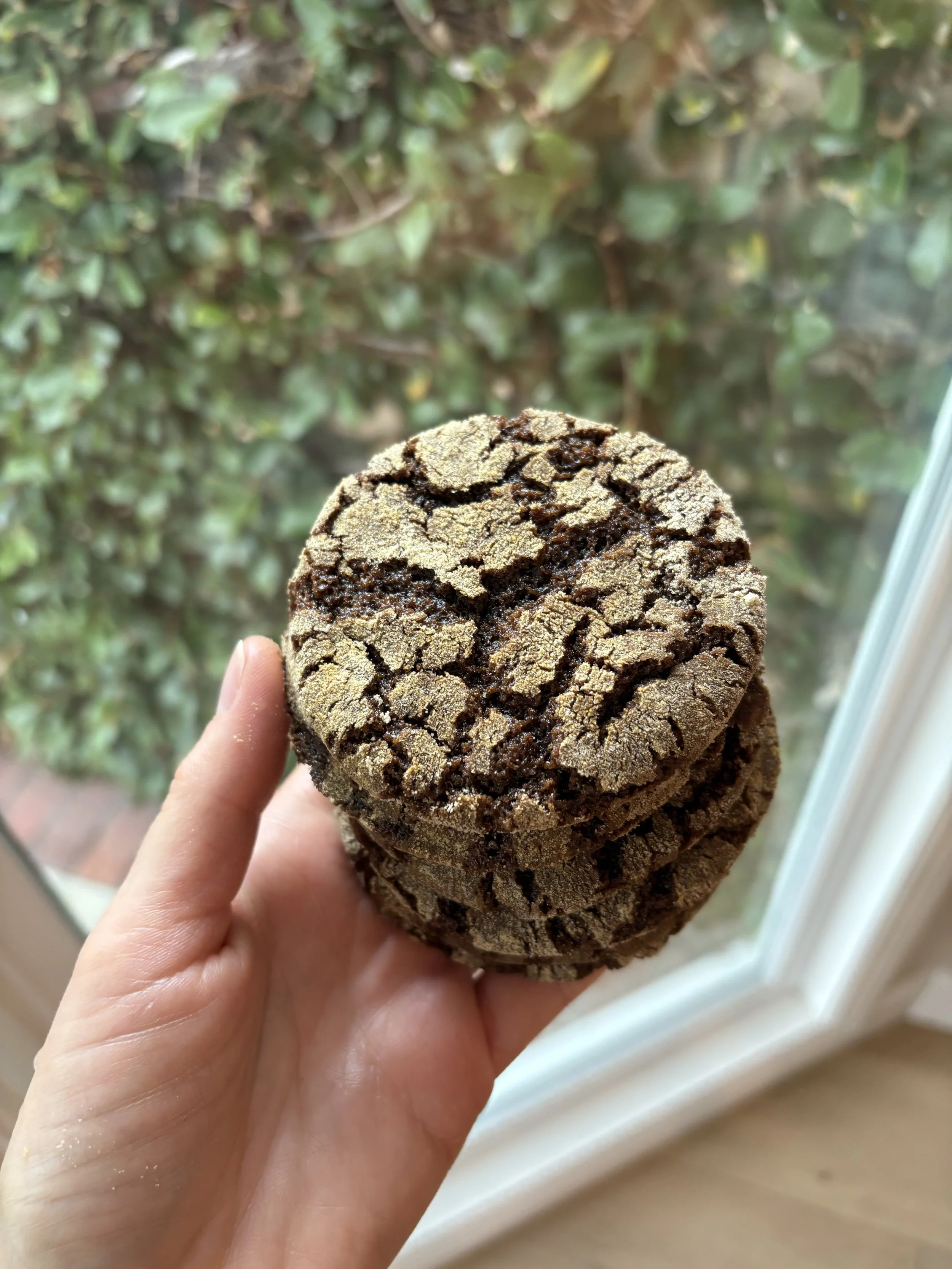 The Ginger Molasses (4-pack)