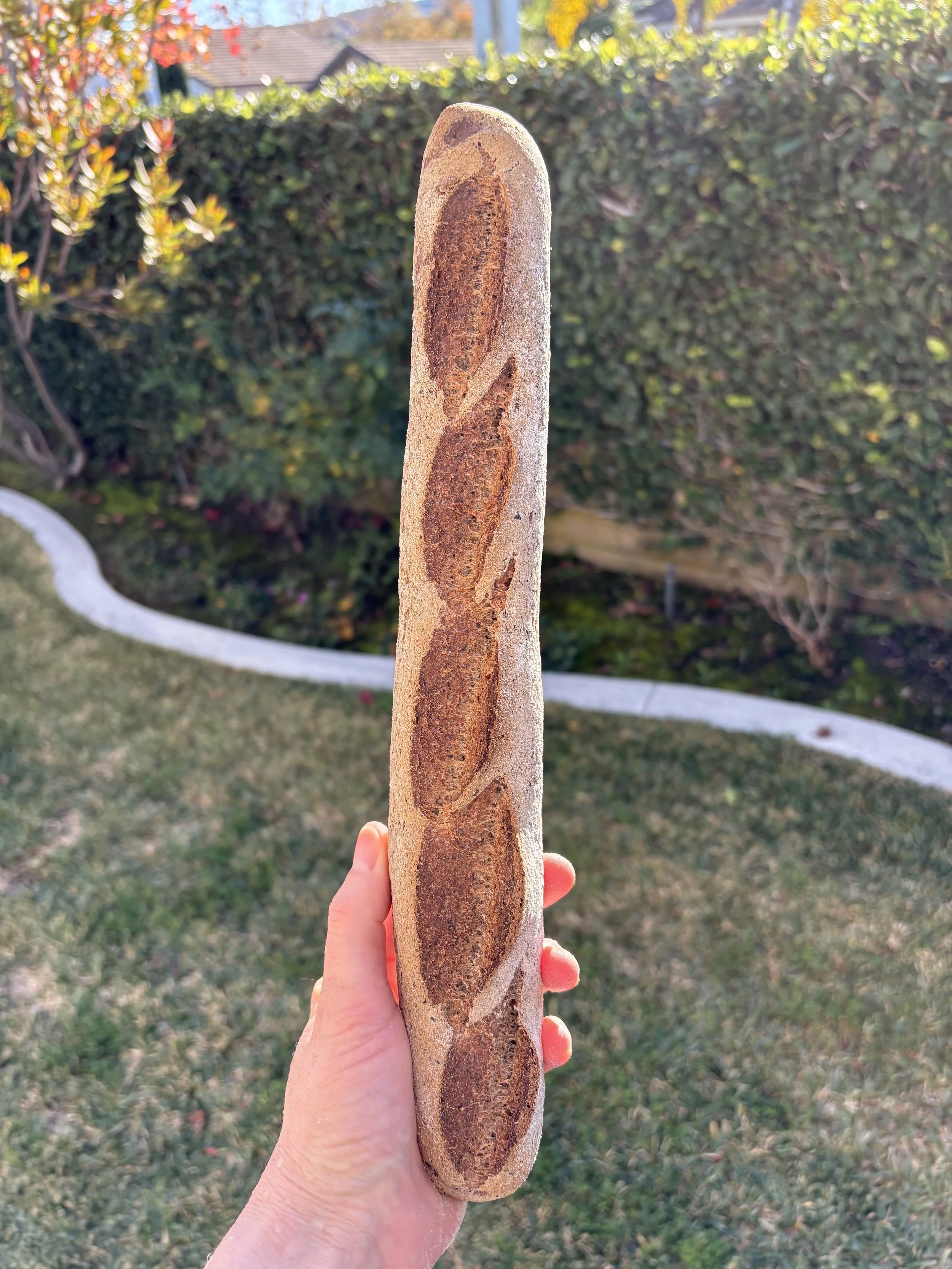 Buckwheat Baguette