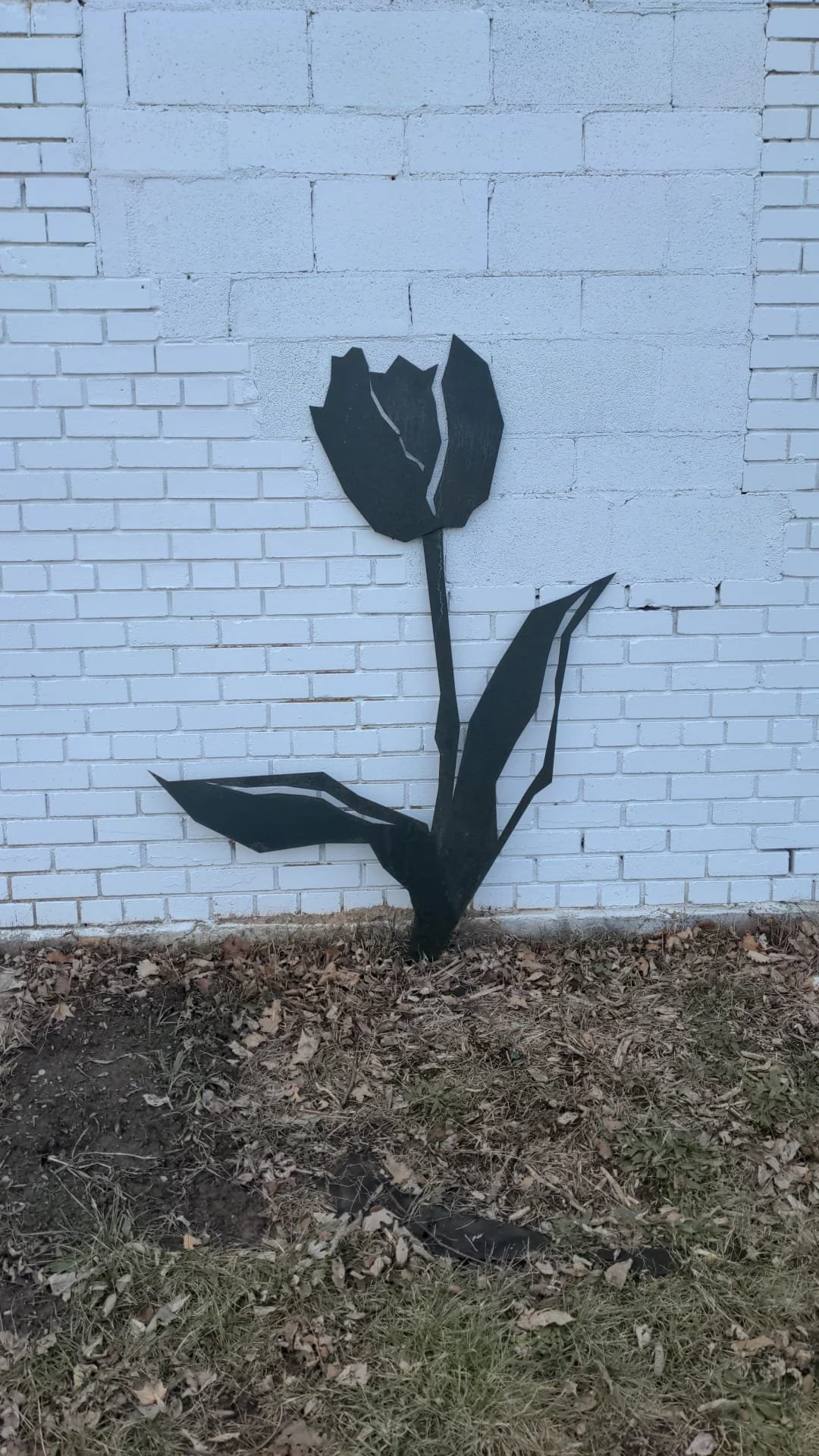 WhatsApp Image 2023-01-16 at 4.25.06 PM (1).jpeg