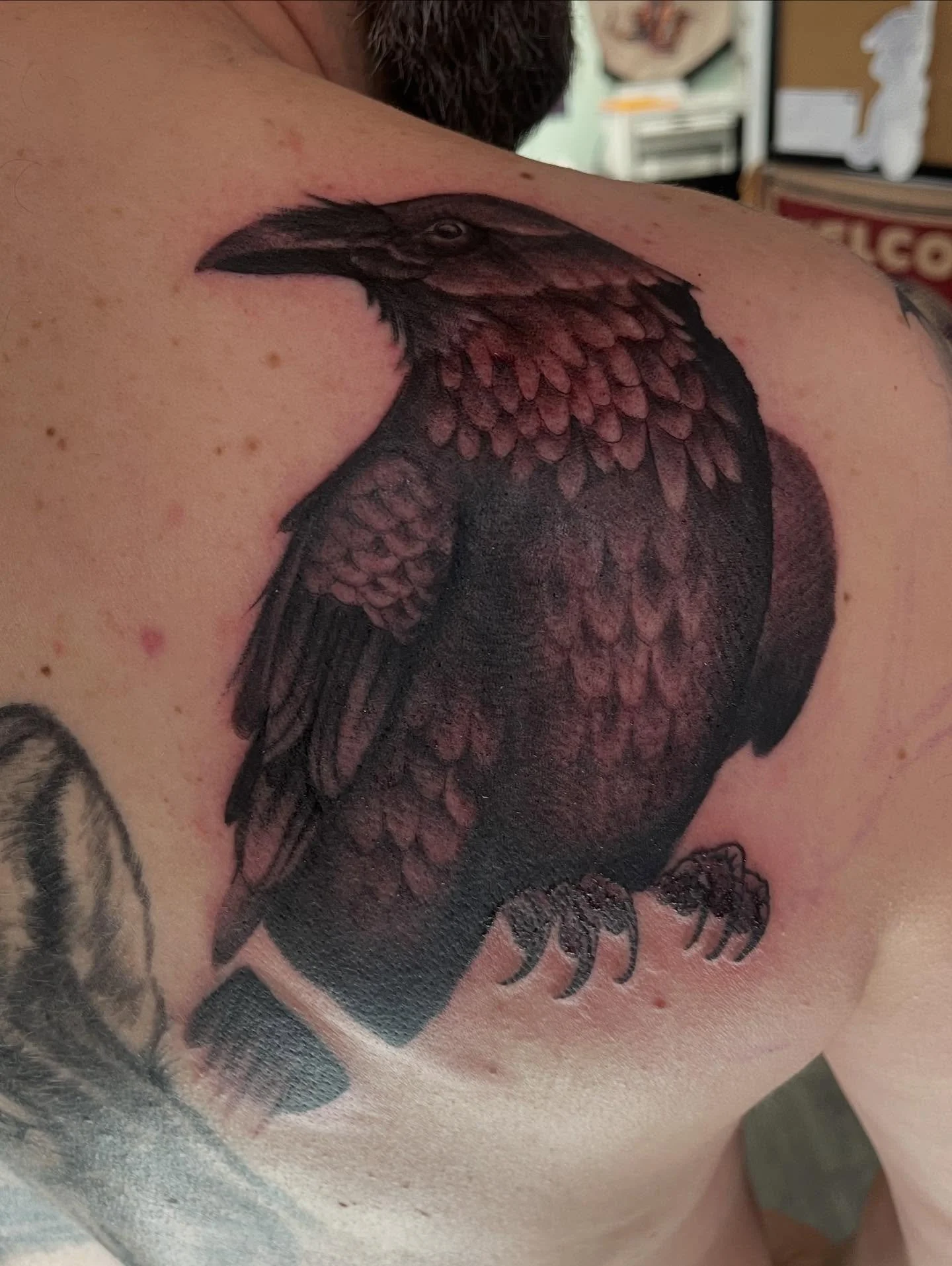 Spooky bird added to my friend Alex&rsquo;s back today. Chipping away at these large projects is fun, I am just as excited as the clients are to see them finished. To book message me or the shop remember to ASK FOR JRO!