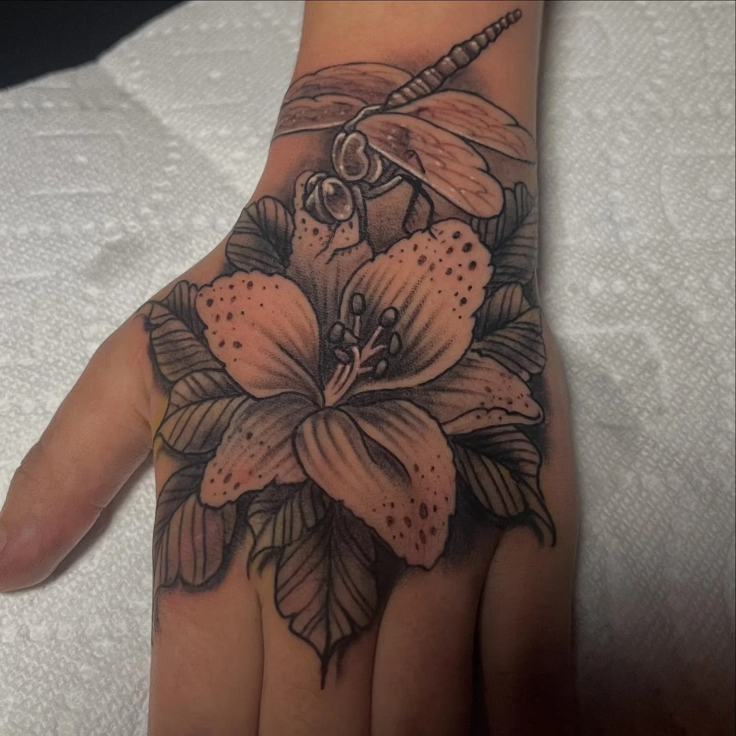 Lilly and dragon fly had a blast doing today.