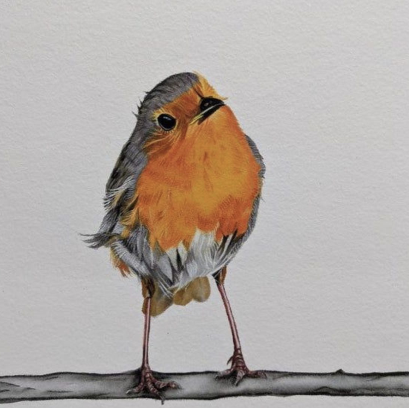 Lessons Taught By Birds
