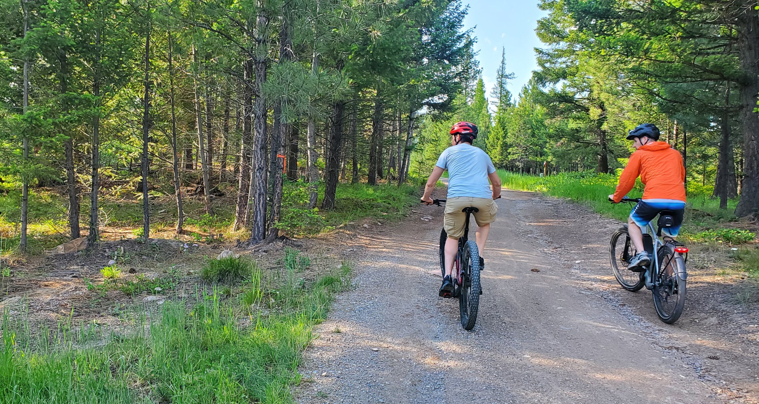 Mountain Biking Trails in the woods at The Hohnstead Glamping Cabins Resort near Missoula, Montana