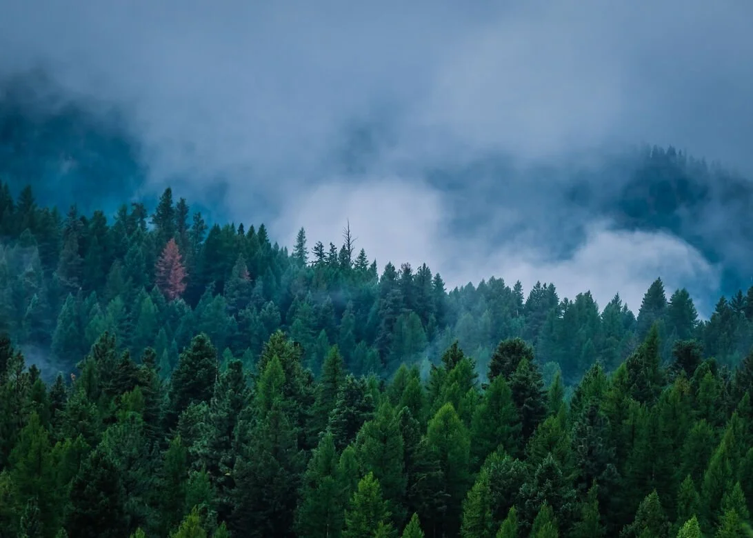 The Hohnstead Glamping Cabins near Missoula, Montana