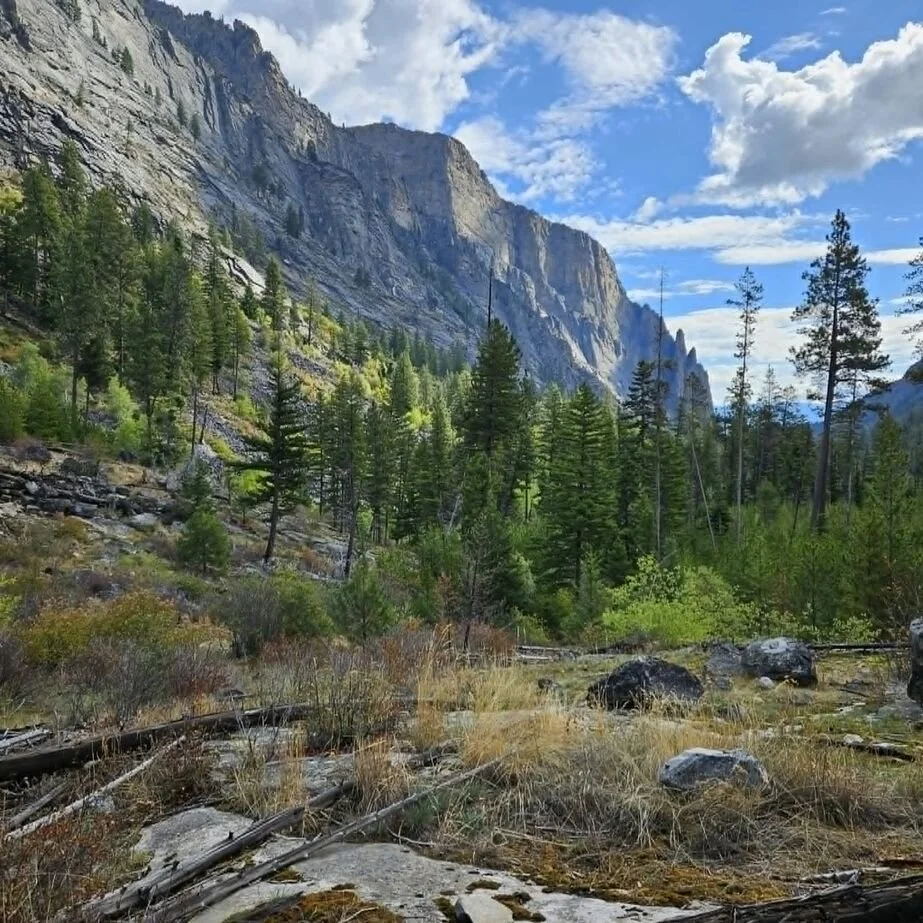 Monthly Hush 006: 3+3 tomato recipes, 2 local hikes, 1 tip for the organizationally challenged