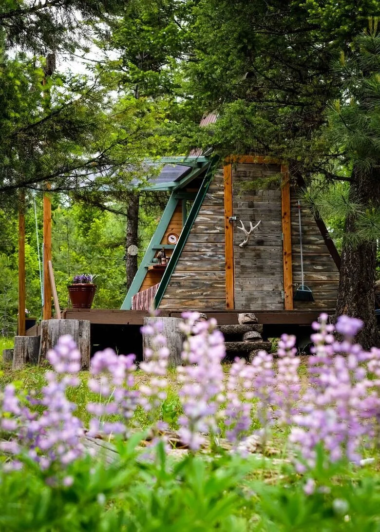 Wild_Flowers_at_The_Hohnstead_Glamping_Cabins_near Missoula_Montana
