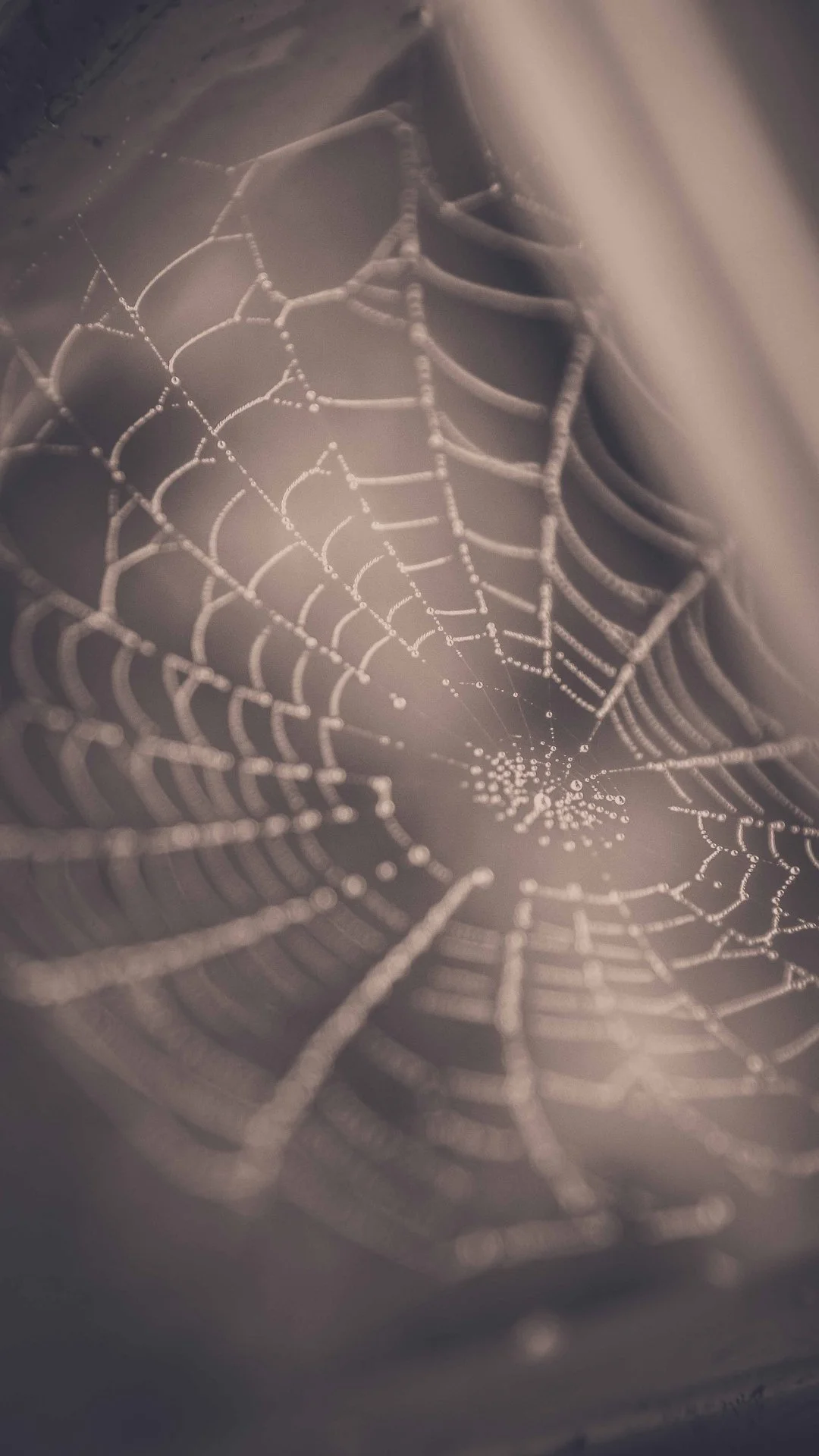 The Hohnstead Glamping Cabins in Bonner, Montana