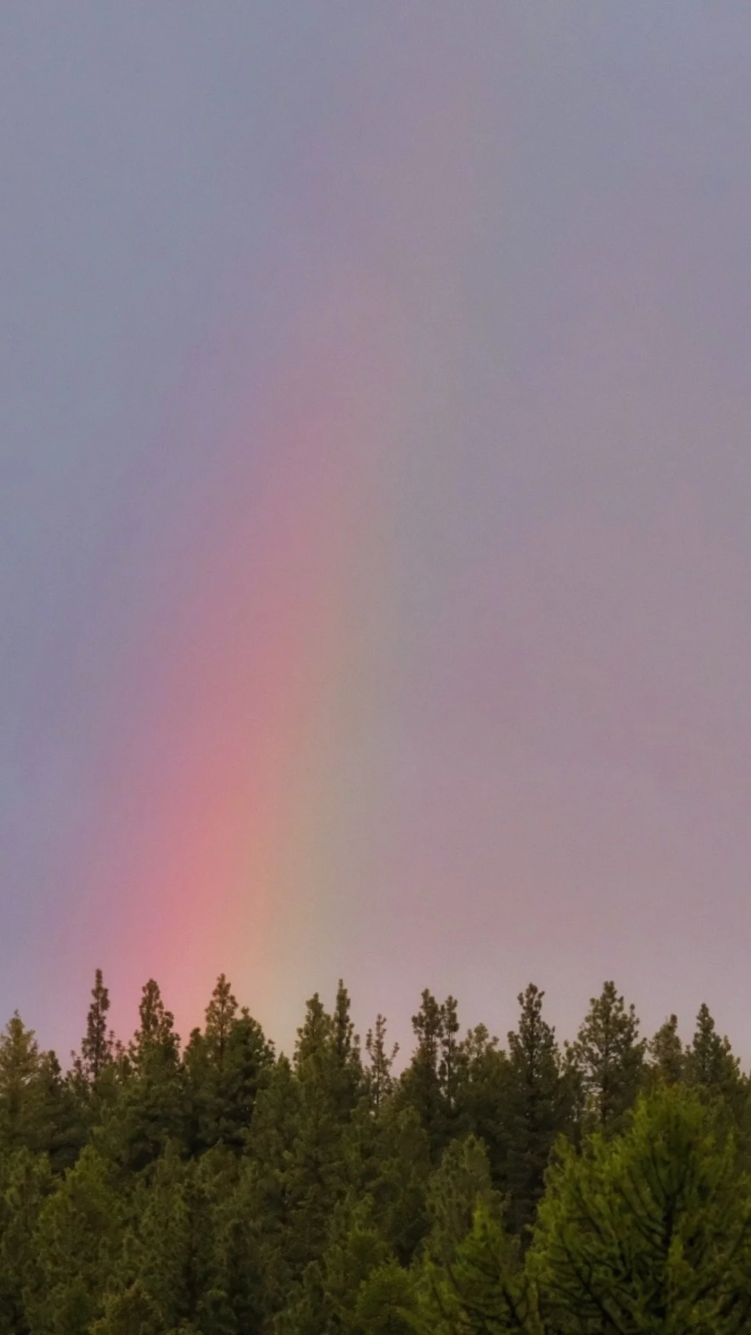 The Hohnstead Glamping Cabins in Bonner, Montana1