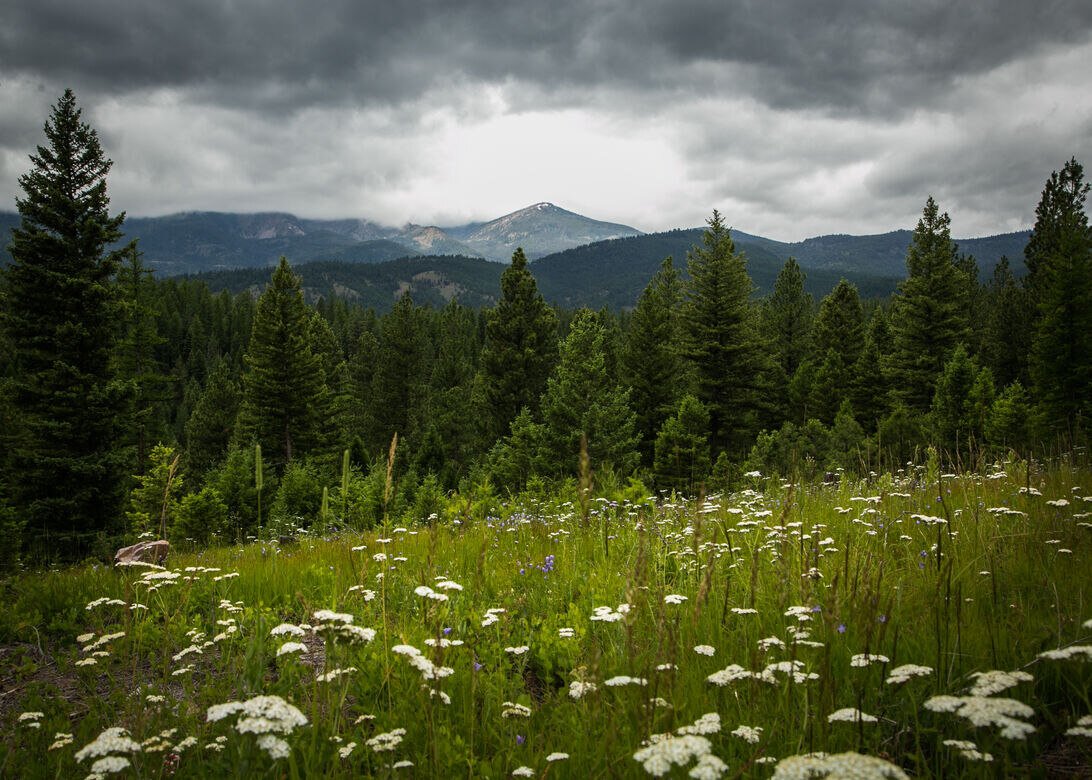 Digital Detox at The Hohnstead Glamping Cabins near Missoula, Montana