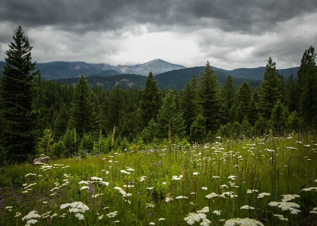 The Hohnstead Glamping Cabins near Missoula, Montana