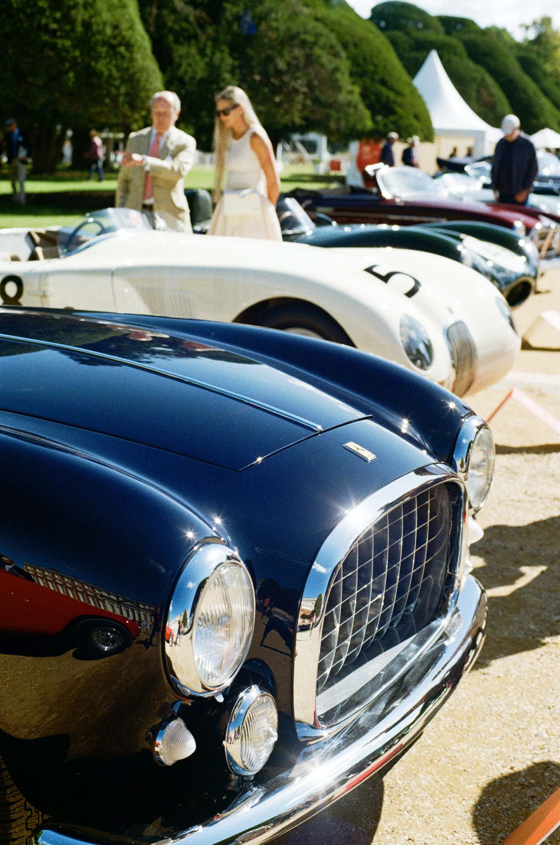 000023400033 (1).jpg