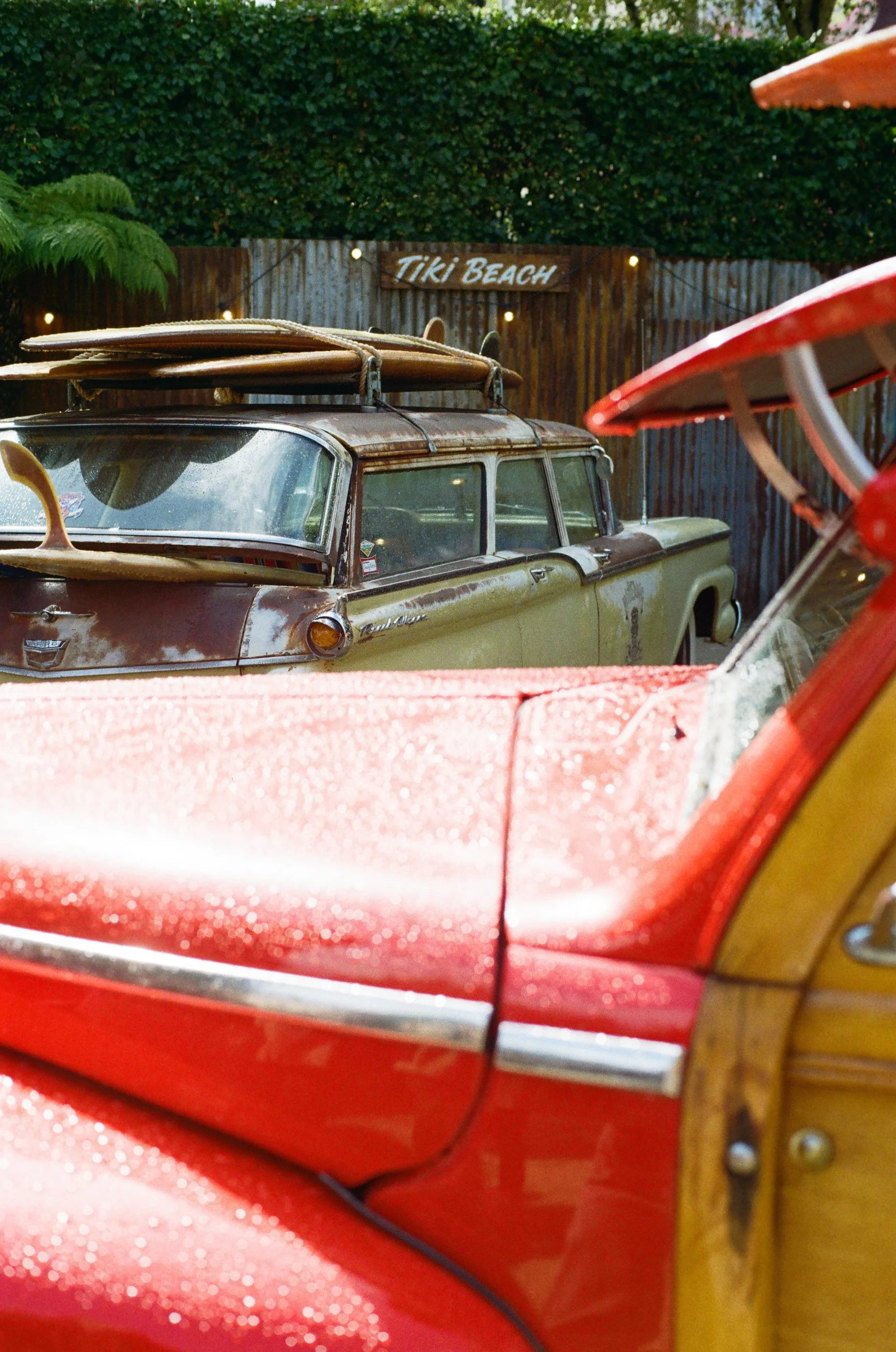 000034680008 (1).jpg