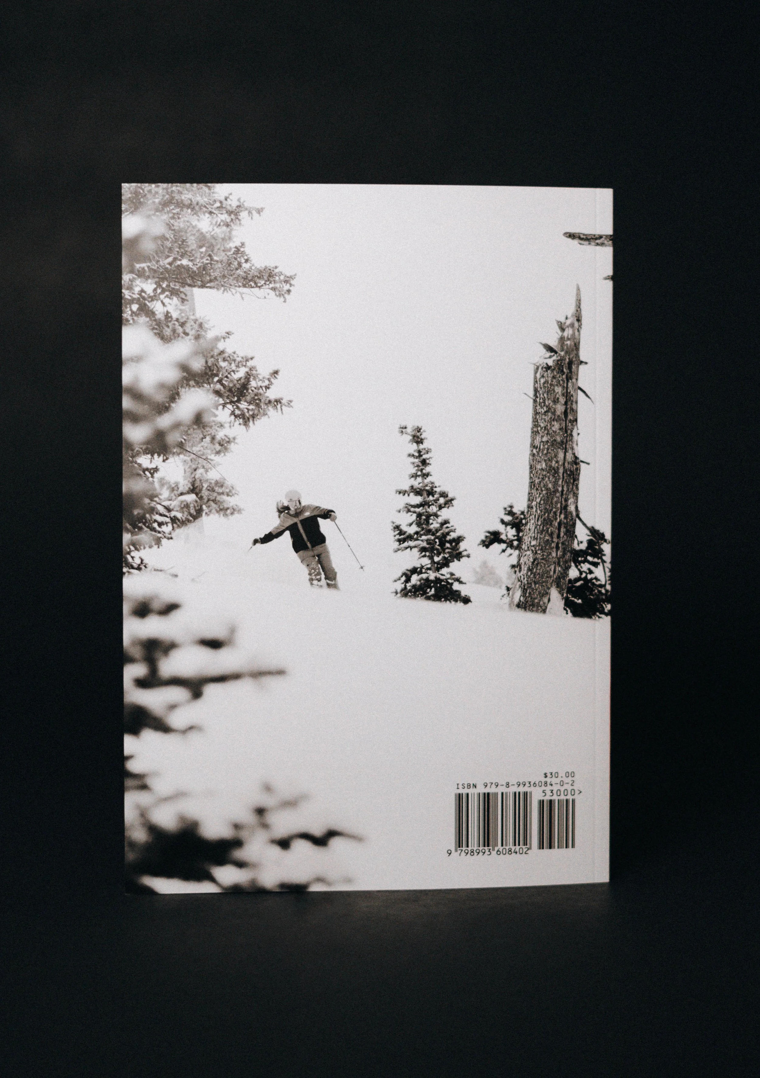 Back Cover Vertical.jpg