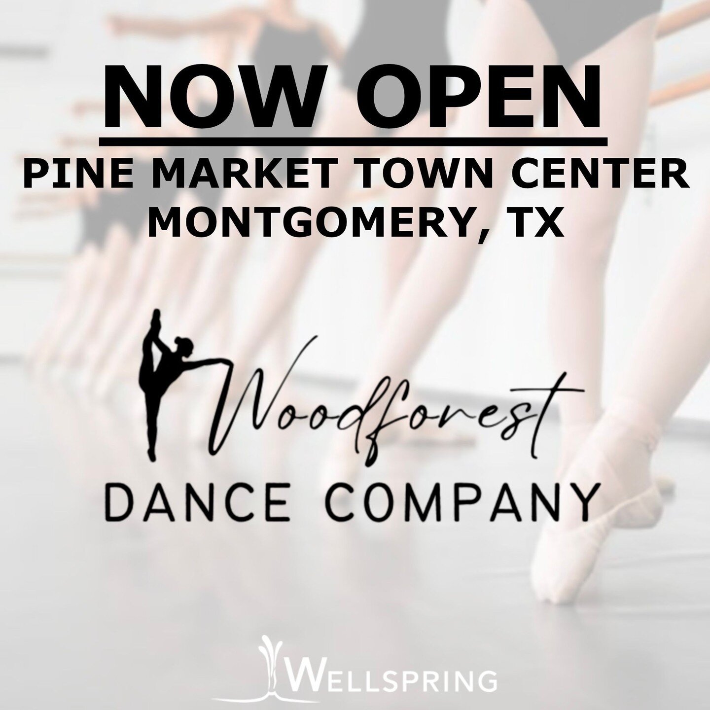 Woodforest Dance Company is open and operating in Woodforest at Pine Market!

#wellspringcre #cre #retail #tenantrep #wdc #woodforest #iwanttogodancing