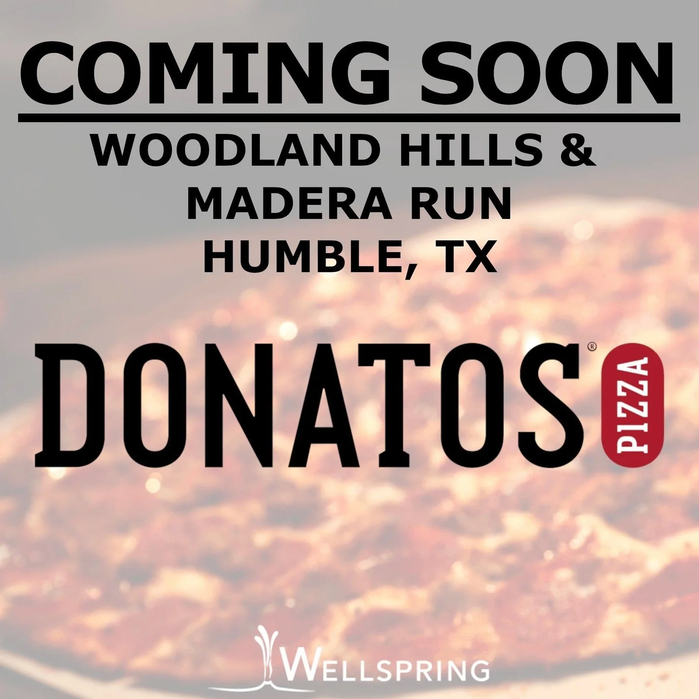 Donato&rsquo;s Pizza builds America&rsquo;s original &ldquo;edge to edge&rdquo; toppings on every pizza (seriously - 100 pepperoni rounds on a large). Now they are stretching those edges and expanding into a new market!

Wellspring Commercial Real Es
