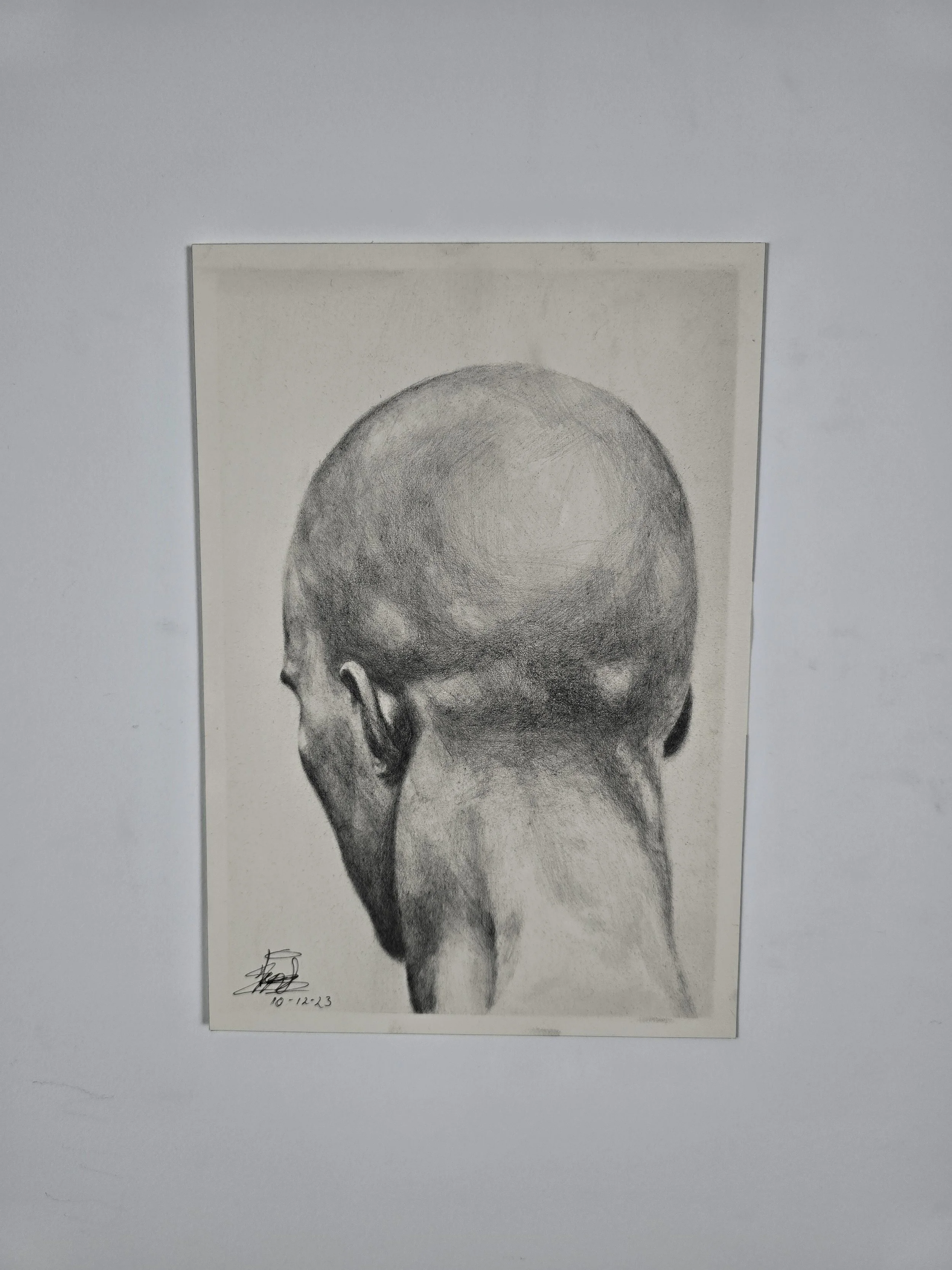Head study