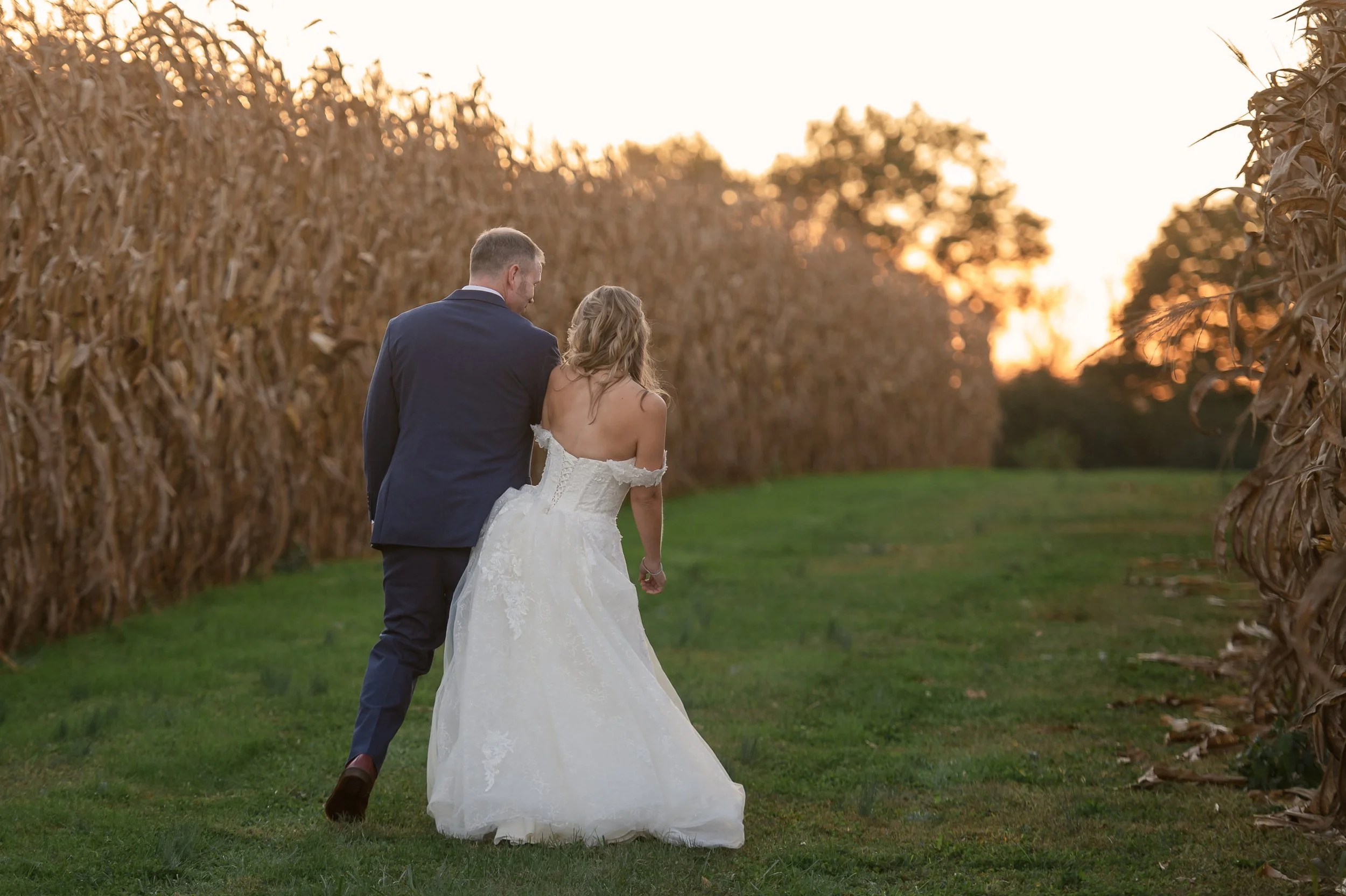 A newlywed couple walking through a cornfield at sunset.