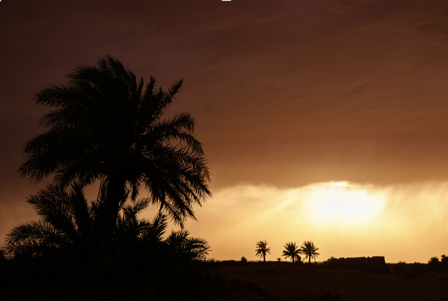 The Perfect Shore Excursion in Agadir, Morocco: A Complete Guide to Making the Most of Your Day in Port