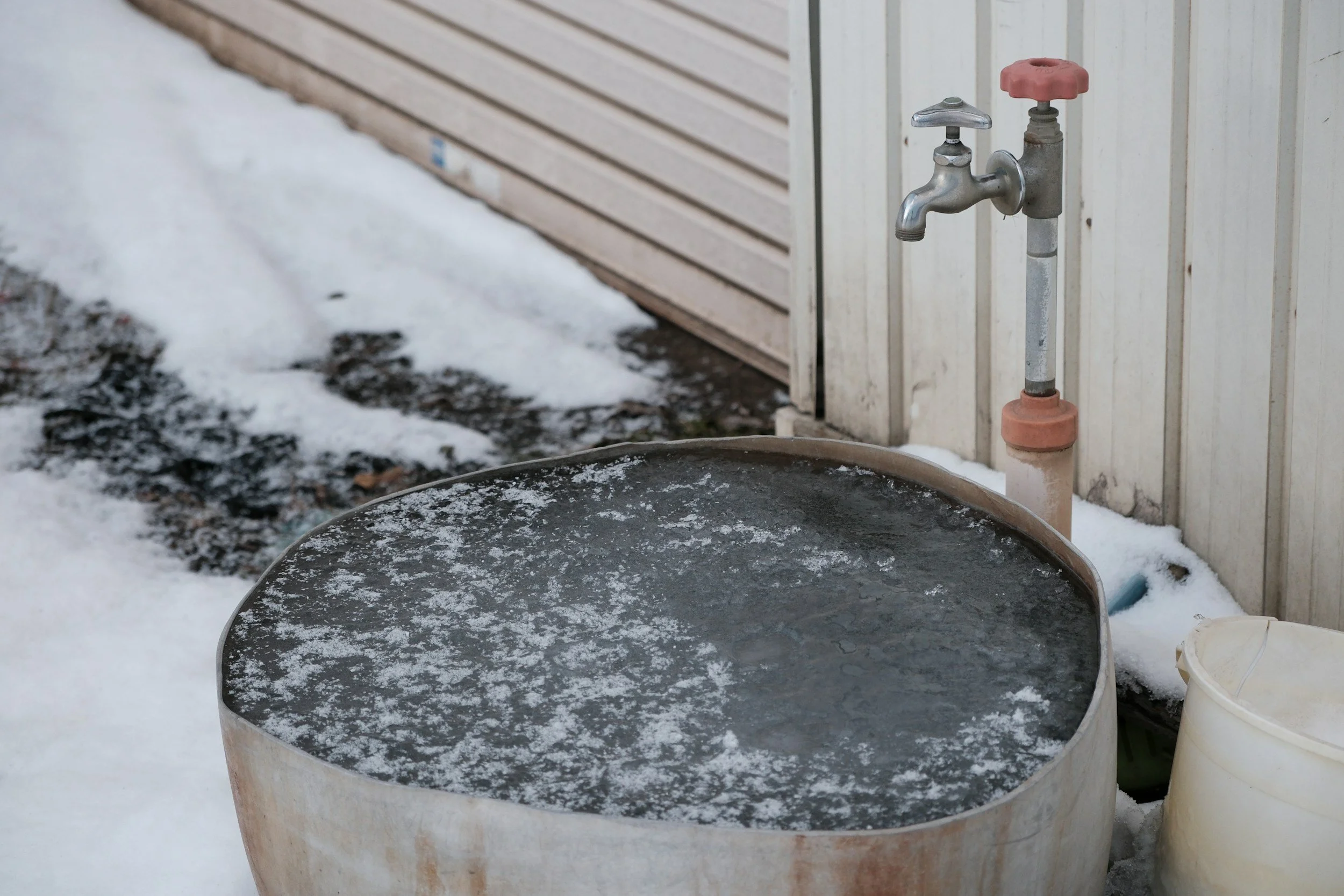 Cold Exposure and Cold Plunging How Brief Stress Can Strengthen the Body
