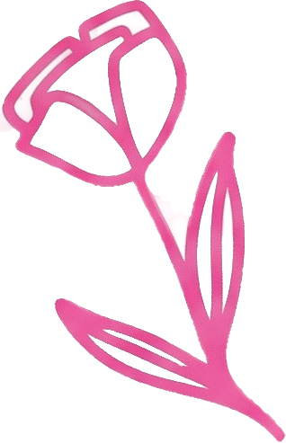 Flower petal from the Sandry Stringer logo