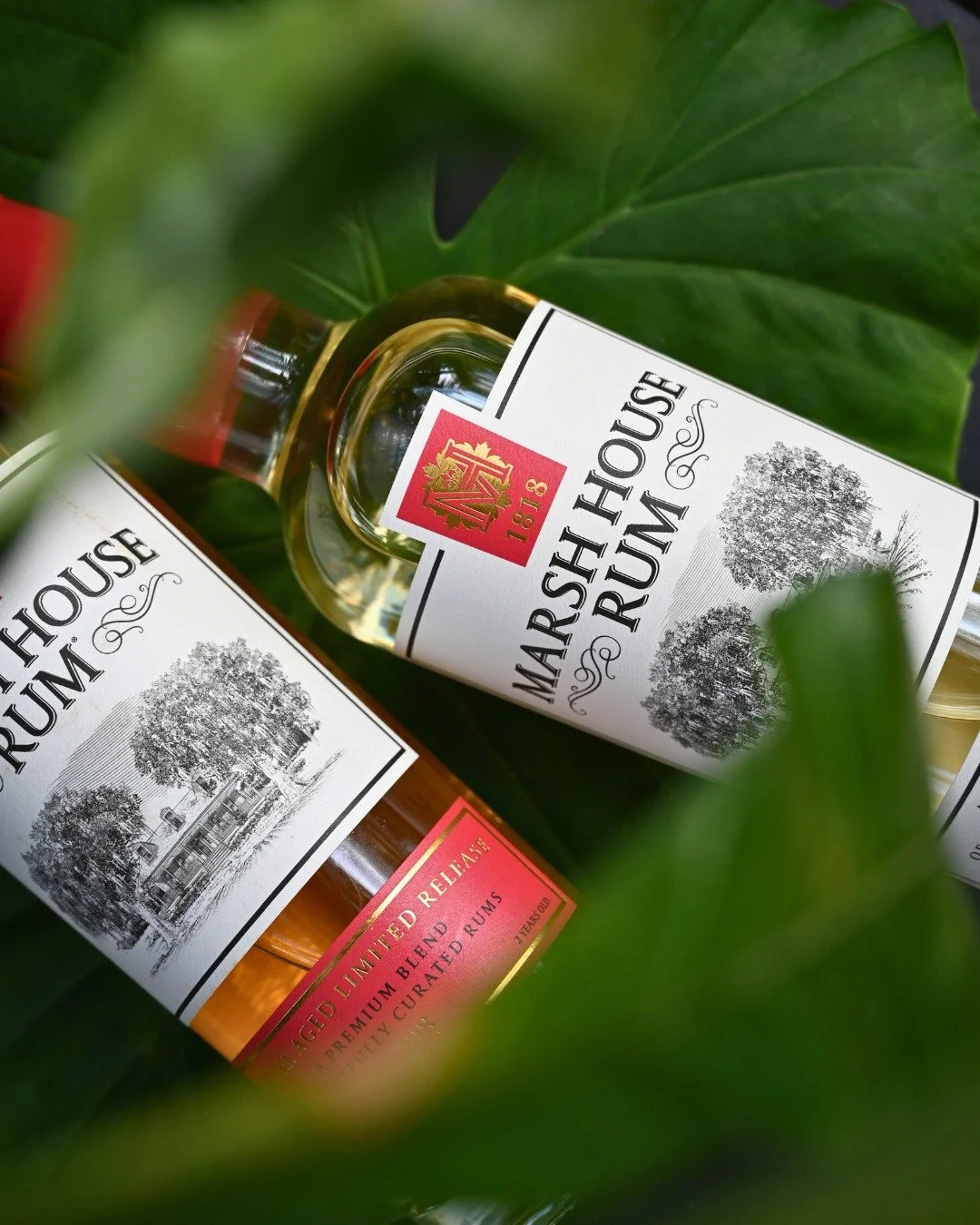 Barrel-aged in Louisiana for 2 years. Made for moments that matter. From Mardi Gras toasts to backyard gatherings, Marsh House brings New Orleans tradition to your glass. 🥃

#MarshHouseRum #BarrelAgedRum #LouisianaRum #CraftRum #NewOrleansRum #NOLA 
