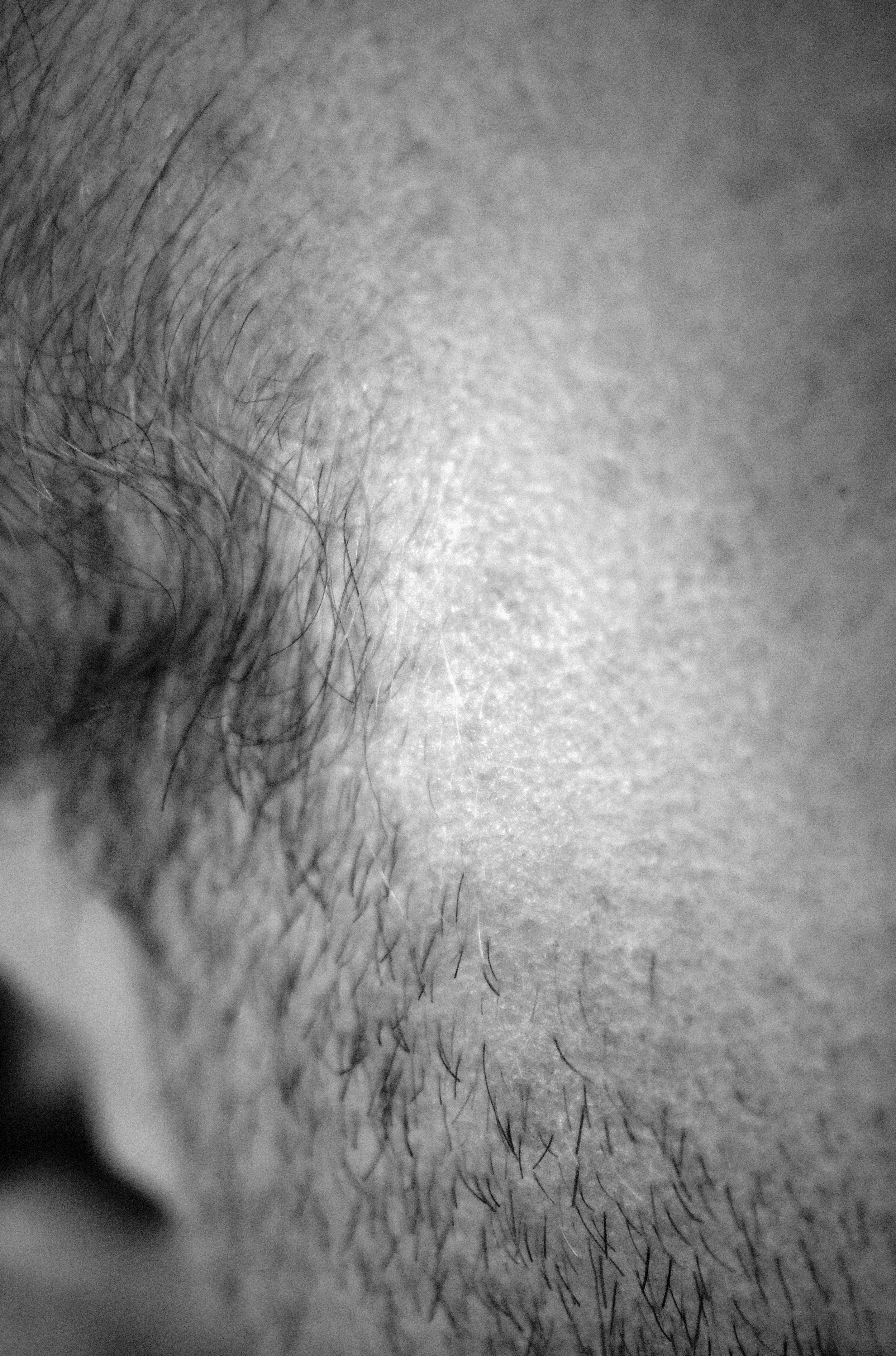 constructed self portrait (image 2 of 6)