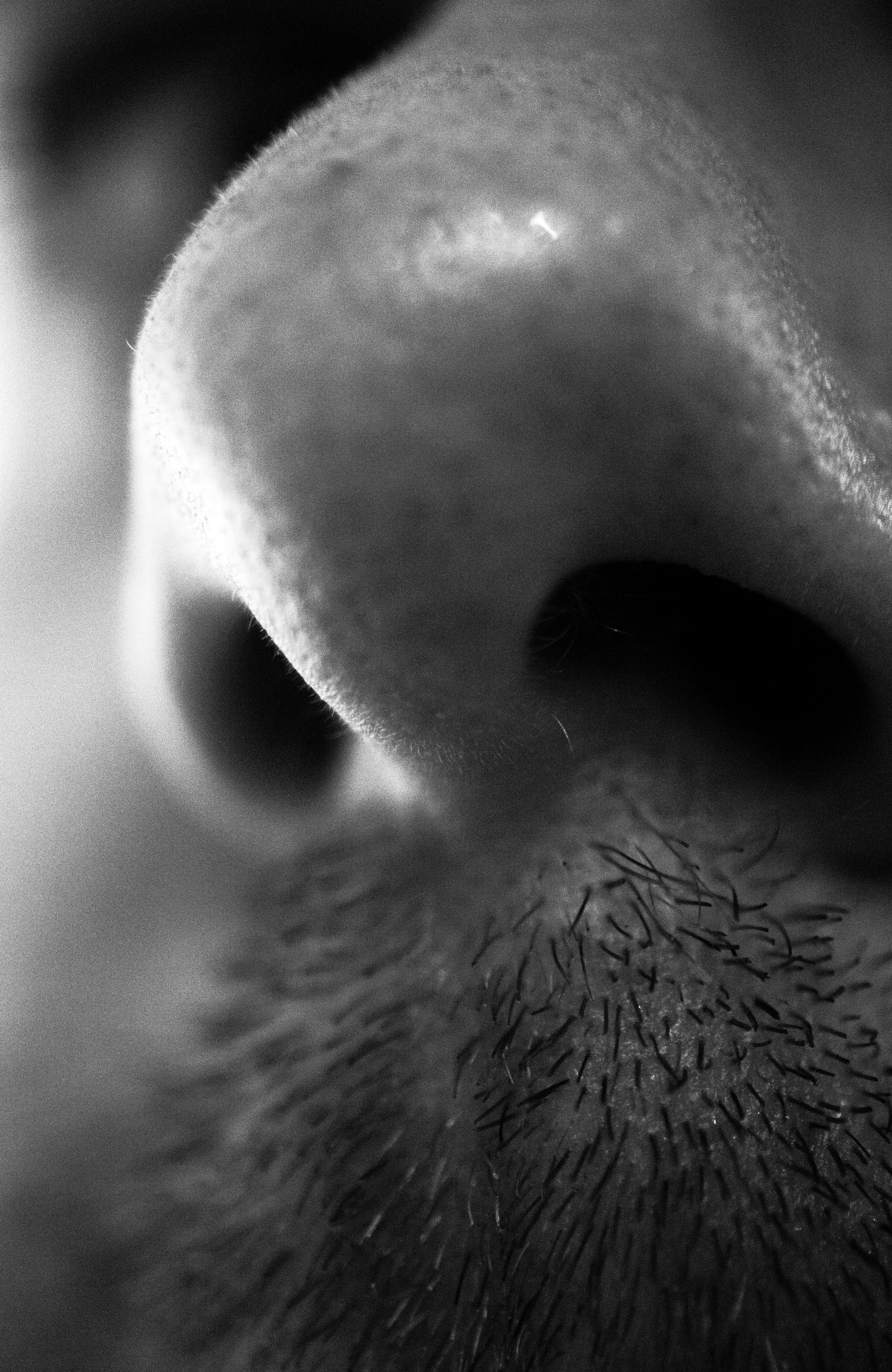 constructed self portrait (image 3 of 6)