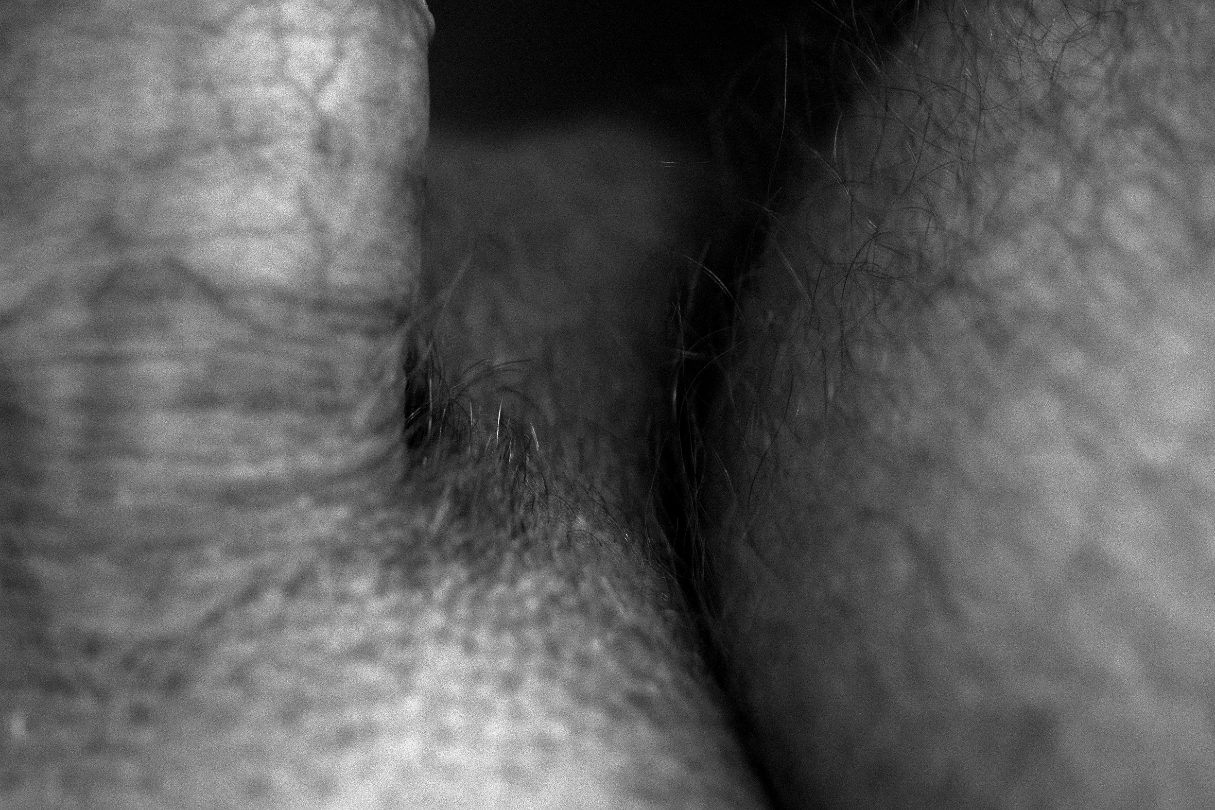 constructed self portrait (image 5 of 6)