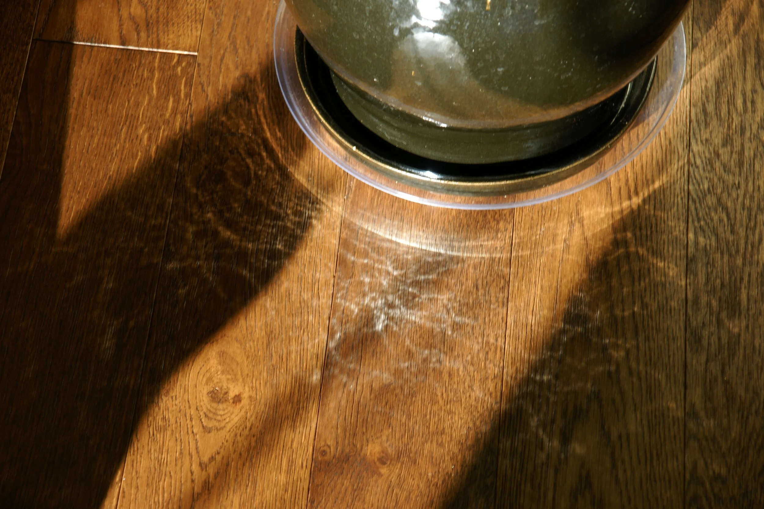 design in the world (image 6 of 16)