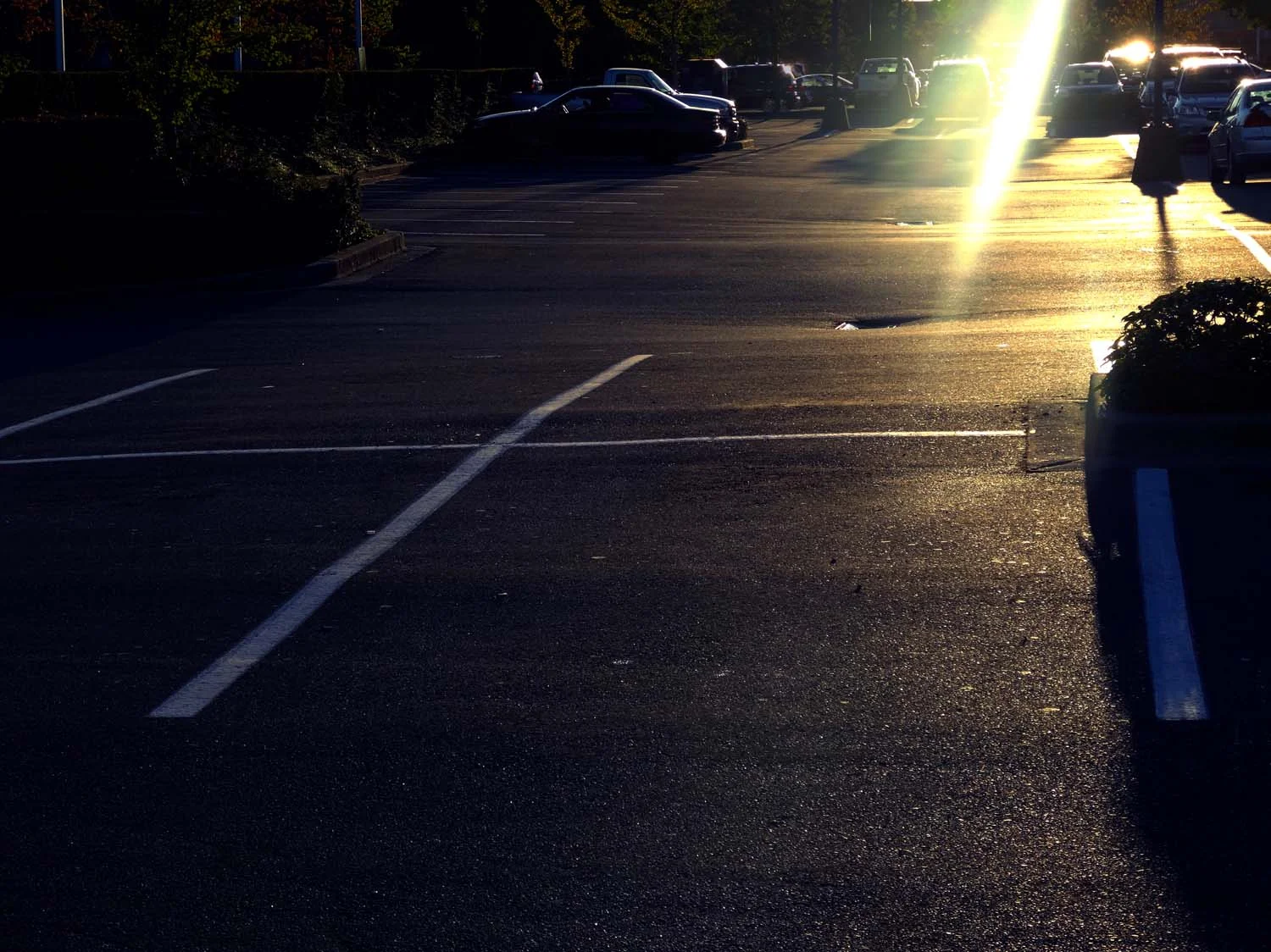 design in the world two (image 7 of 19)