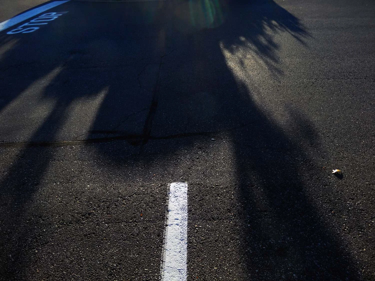 design in the world two (image 2 of 19)