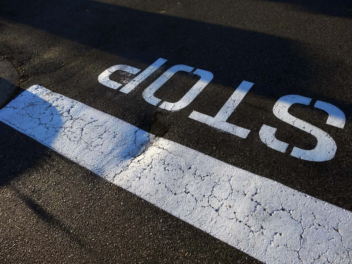 design in the world two (image 6 of 19)