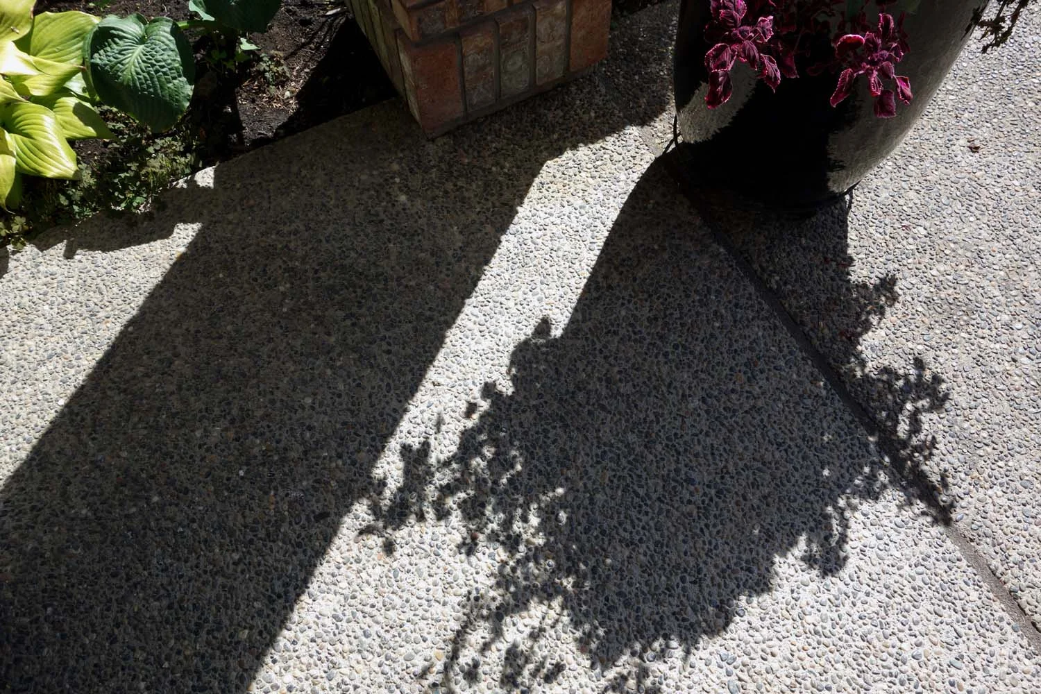 design in the world two (image 11 of 19)