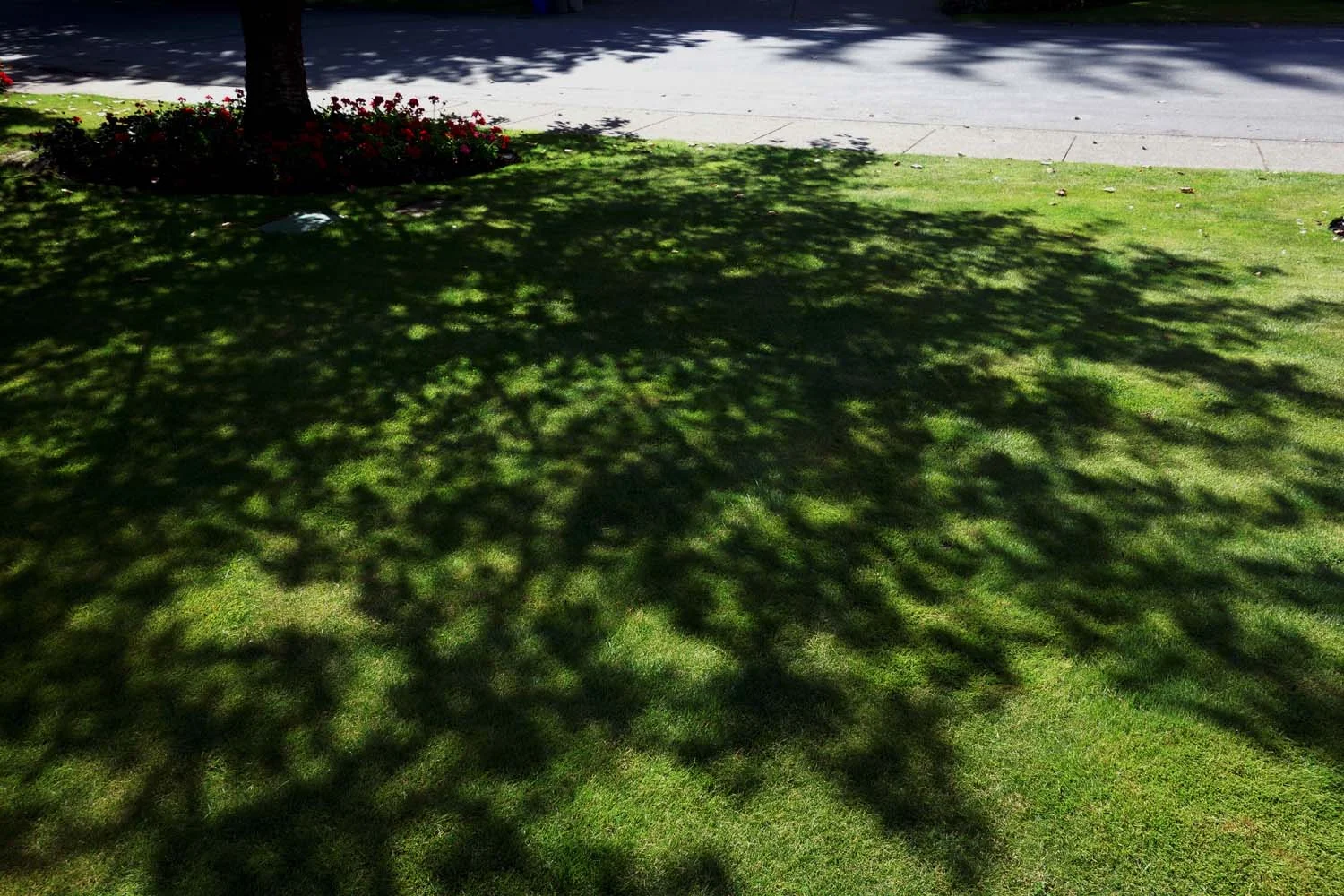 design in the world two (image 12 of 19)