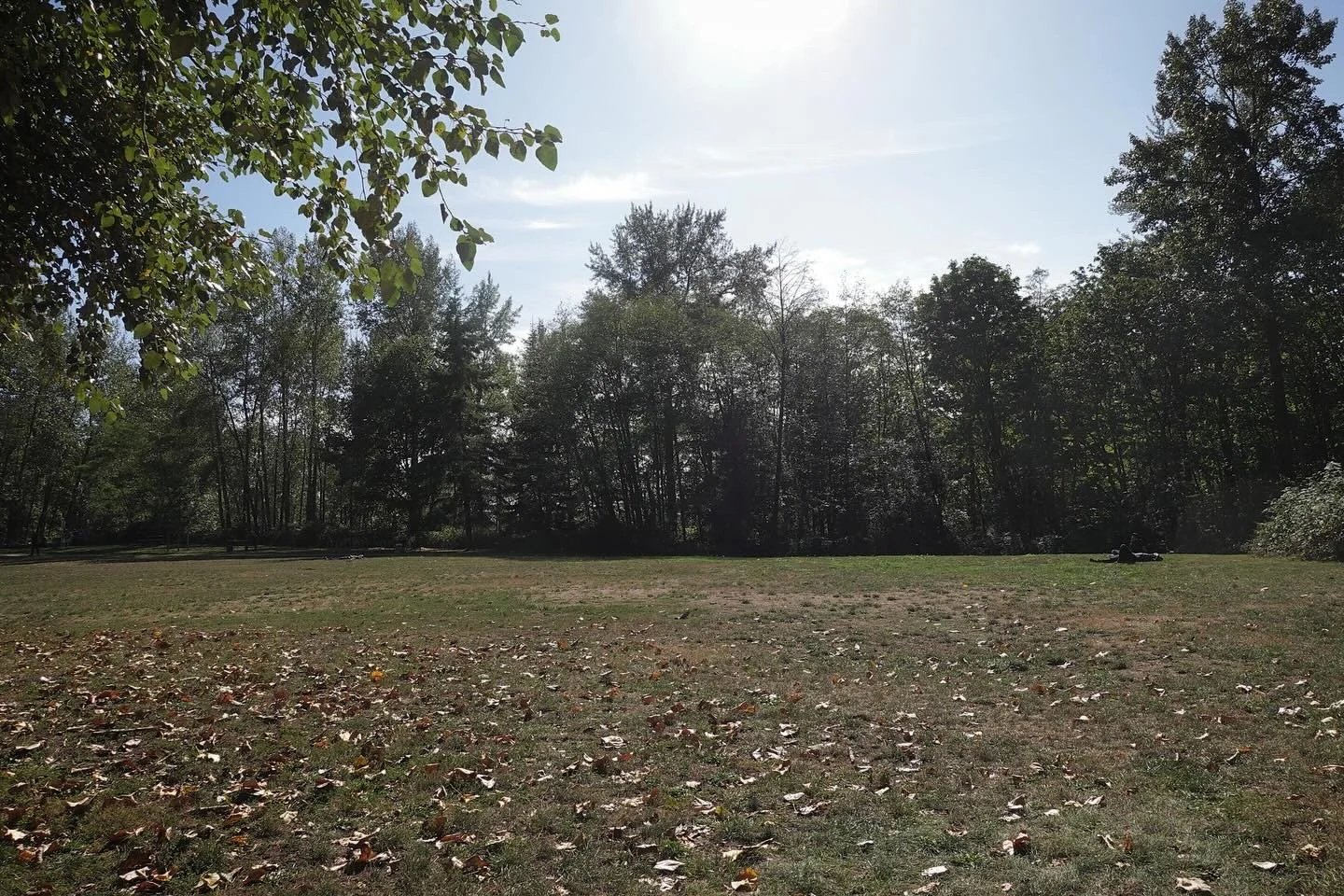 A Field for Early Fall