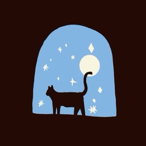 Starry Spyed Cat 🖤🐈&zwj;⬛✨🏙 Digital illustration of a black cat looking out a night-time starry window. I drew and animated this in #procreate on my iPad Pro.

Question: Do you like the 🖤 or 🤍 background better? 

#digitalillustration #catillust