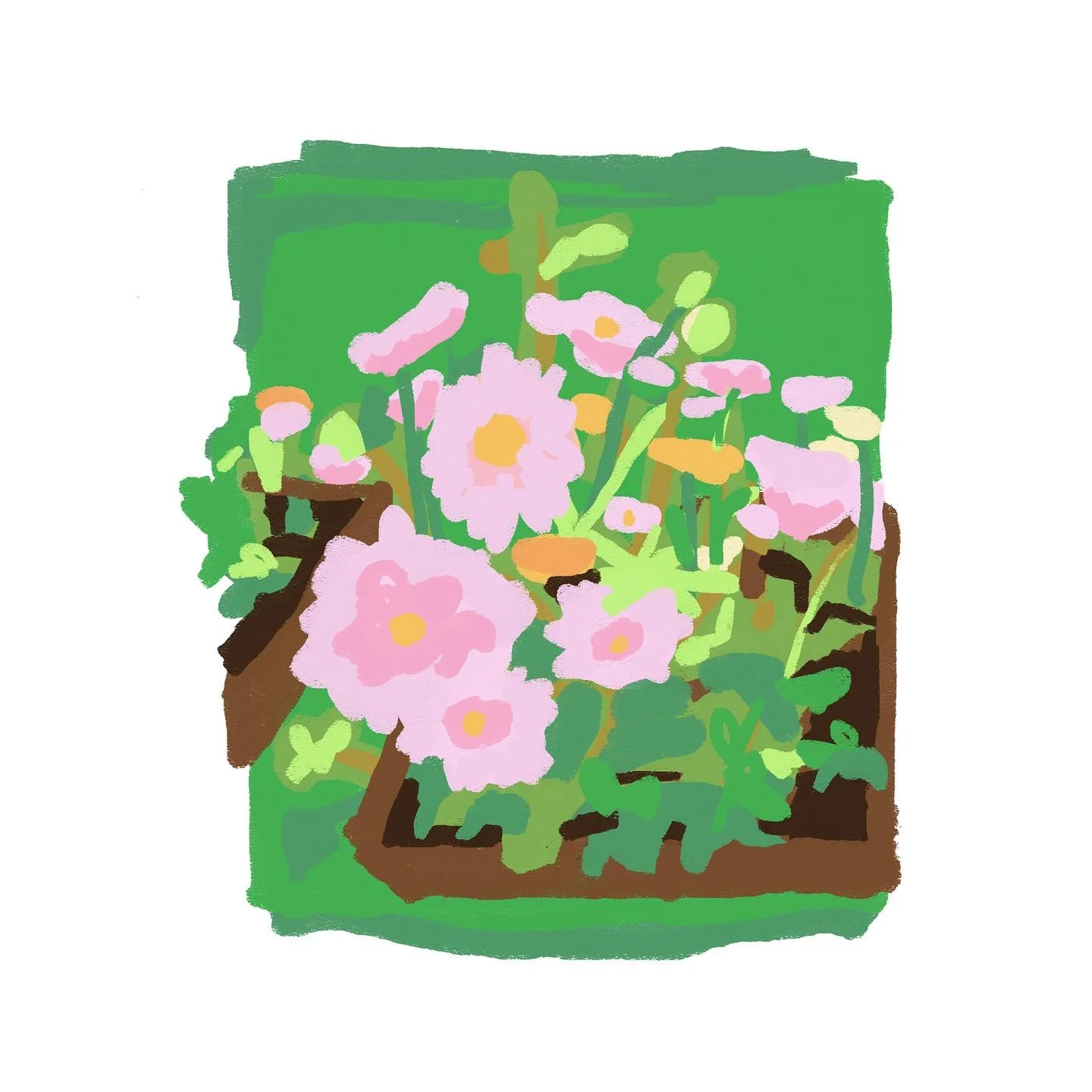 I know I know, it&rsquo;s January, but I&rsquo;m excited for warmer weather again 😅 I&rsquo;ll settle for some warm colors to look at for now. Here&rsquo;s a quick digital drawing of my sister&rsquo;s summer garden boxes!! Swipe to see the drawing a