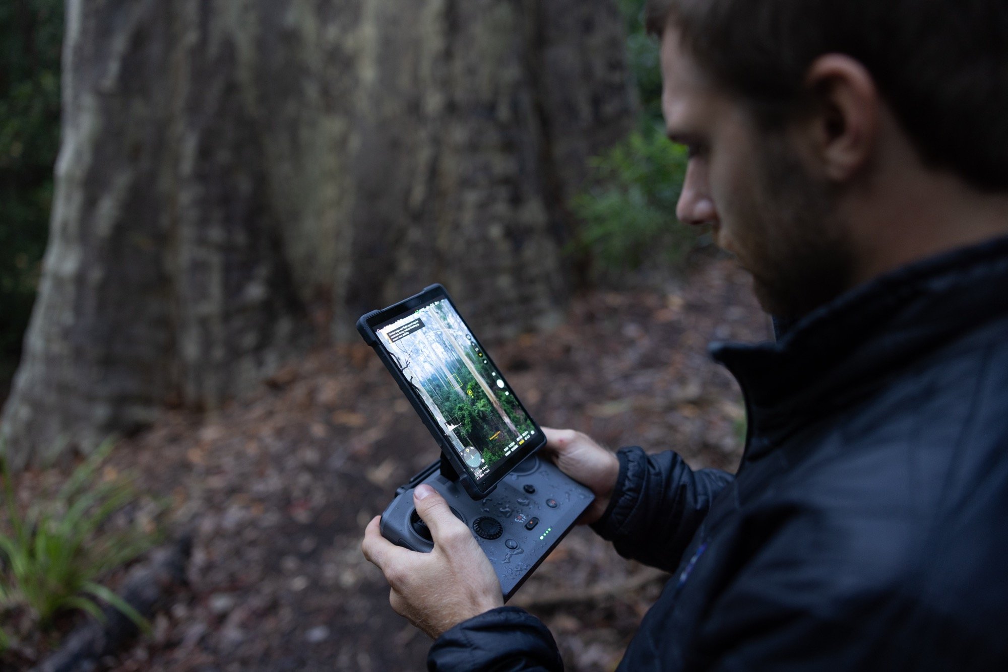 Andrew Kaineder filming Big Spotty in the forest.