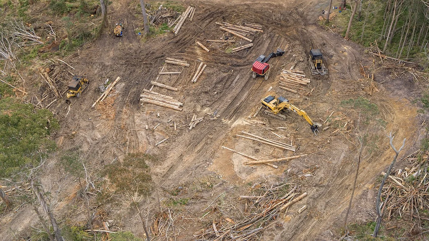 Aerial view of a deforested logging site with excavators, bulldozers, cleared trees, and stacks of logs.